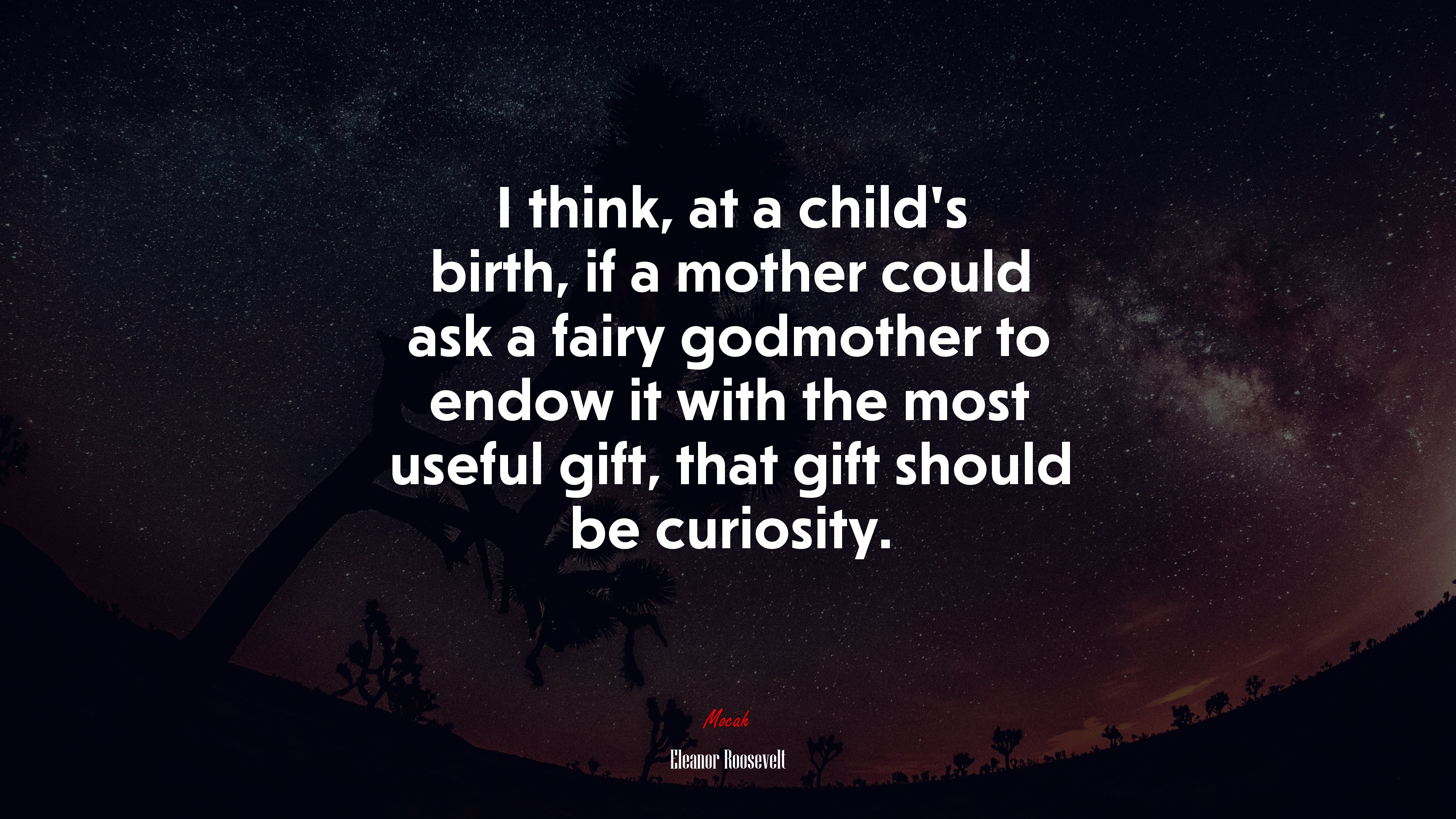 I think, at a child’s birth, if a mother could ask a fairy godmother to endow it with the most useful gift, that gift should be curiosity. | Eleanor Roosevelt quote HD Wallpaper