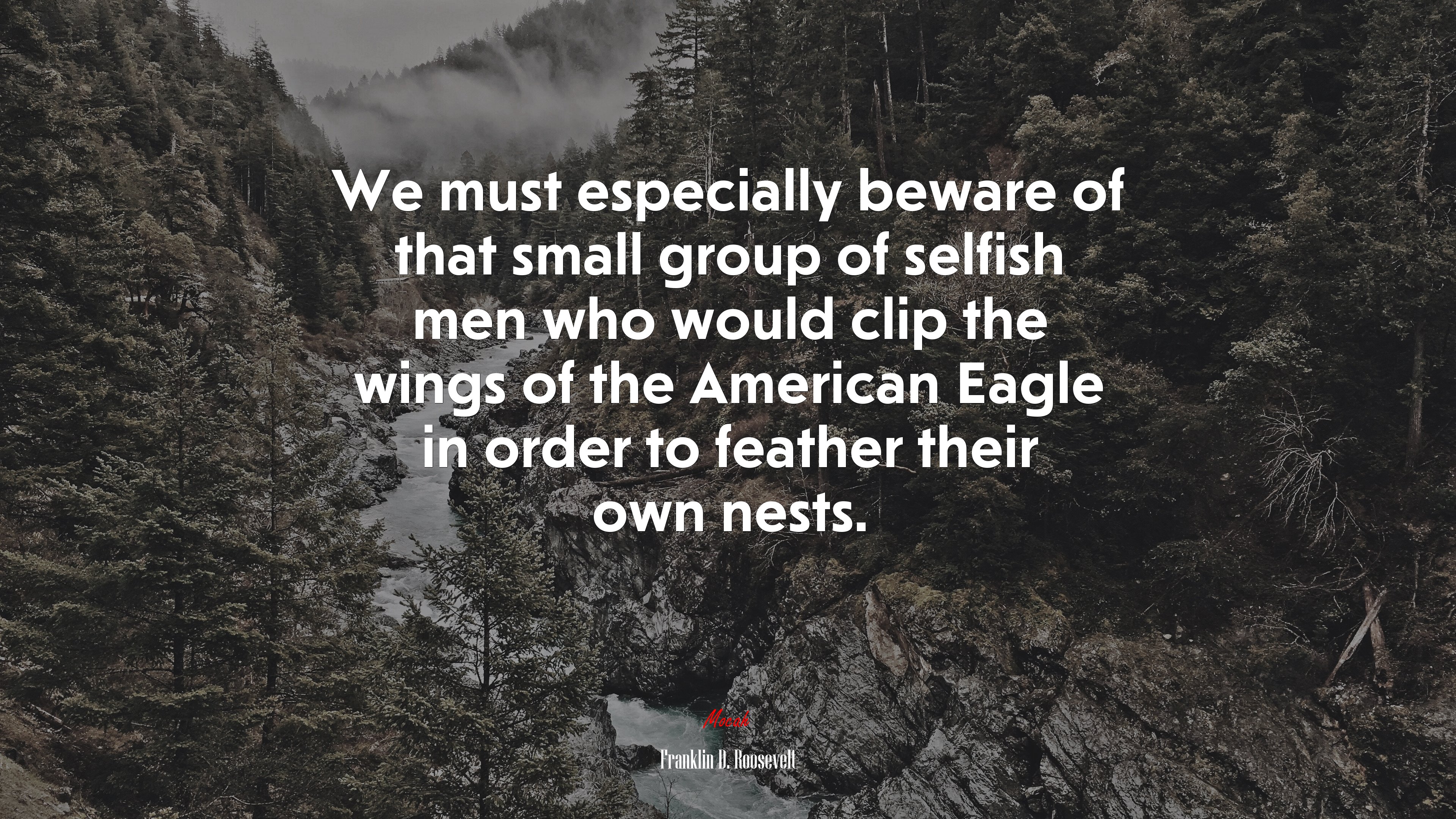We must especially beware of that small group of selfish men who would clip the wings of the American Eagle in order to feather their own nests. | Franklin D. Roosevelt quote HD Wallpaper