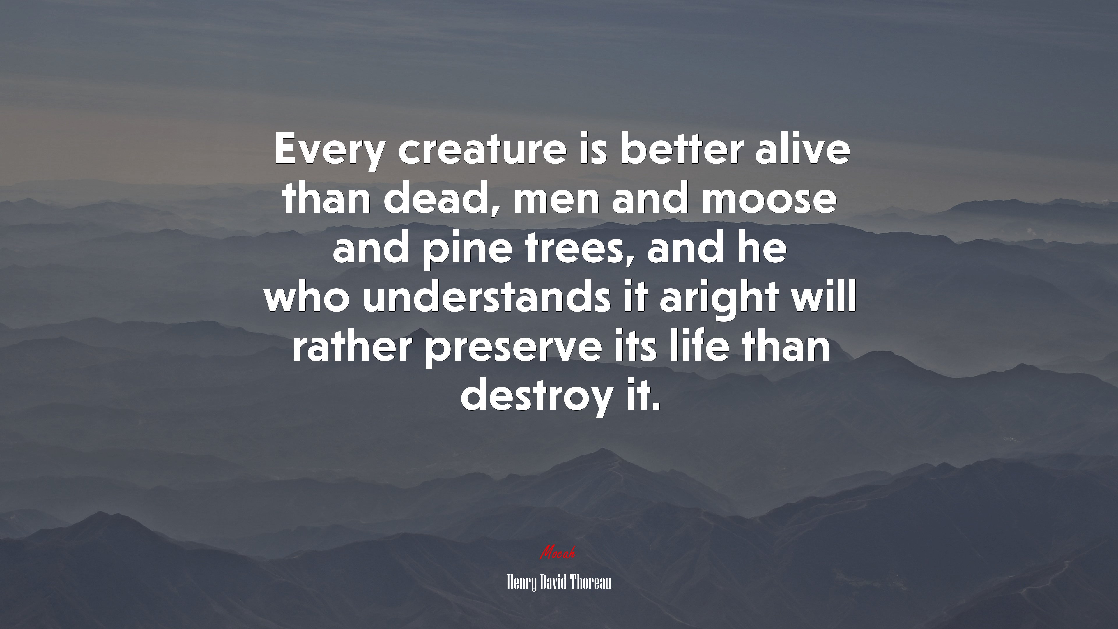 Every creature is better alive than dead, men and moose and pine trees, and he who understands it aright will rather preserve its life than destroy it. | Henry David Thoreau quote HD Wallpaper