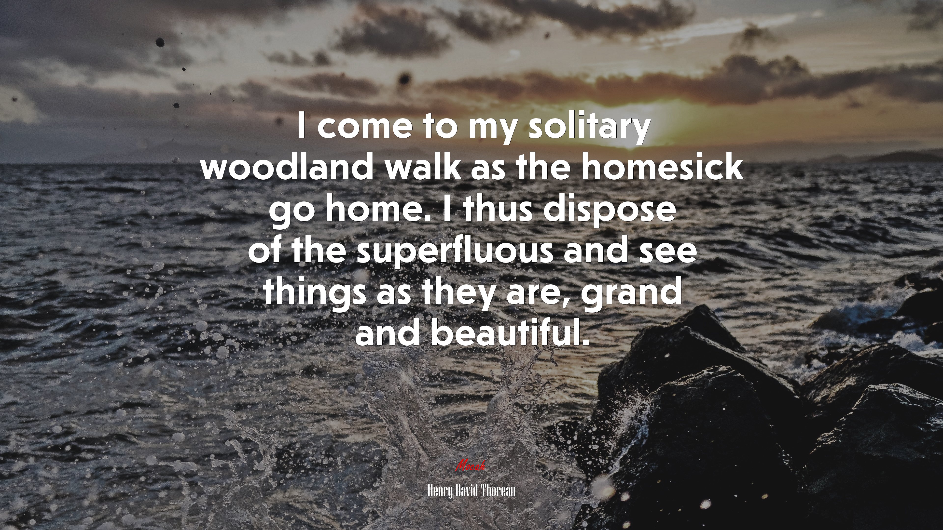 I come to my solitary woodland walk as the homesick go home. I thus dispose of the superfluous and see things as they are, grand and beautiful. | Henry David Thoreau quote HD Wallpaper