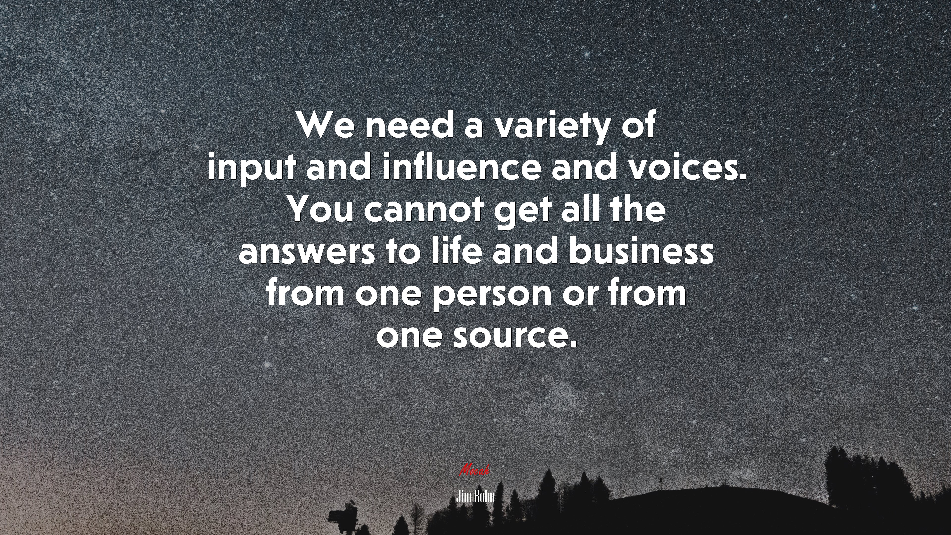 We need a variety of input and influence and voices. You cannot get all the answers to life and business from one person or from one source. | Jim Rohn quote HD Wallpaper