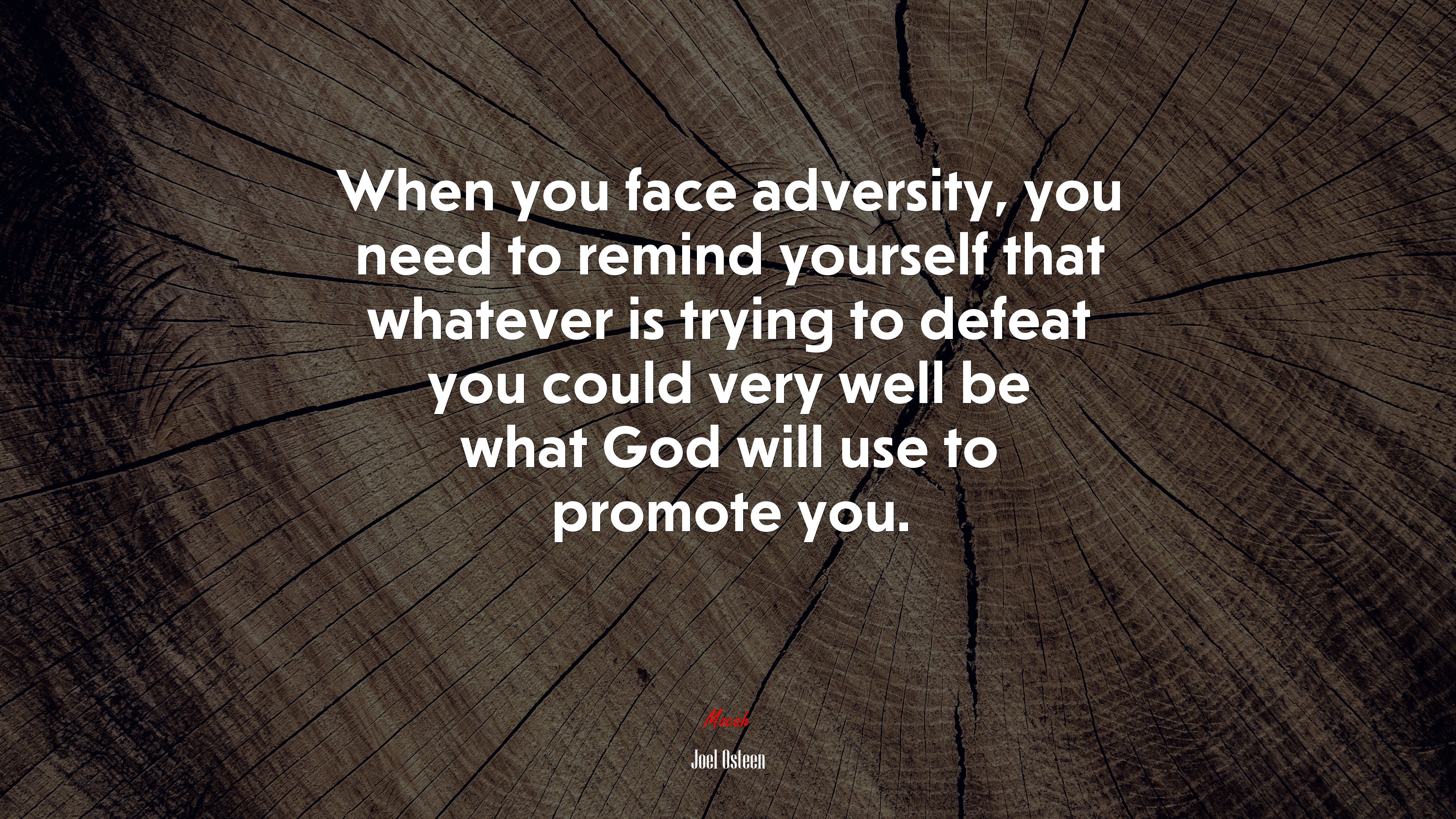 When you face adversity, you need to remind yourself that whatever is trying to defeat you could very well be what God will use to promote you. | Joel Osteen quote HD Wallpaper