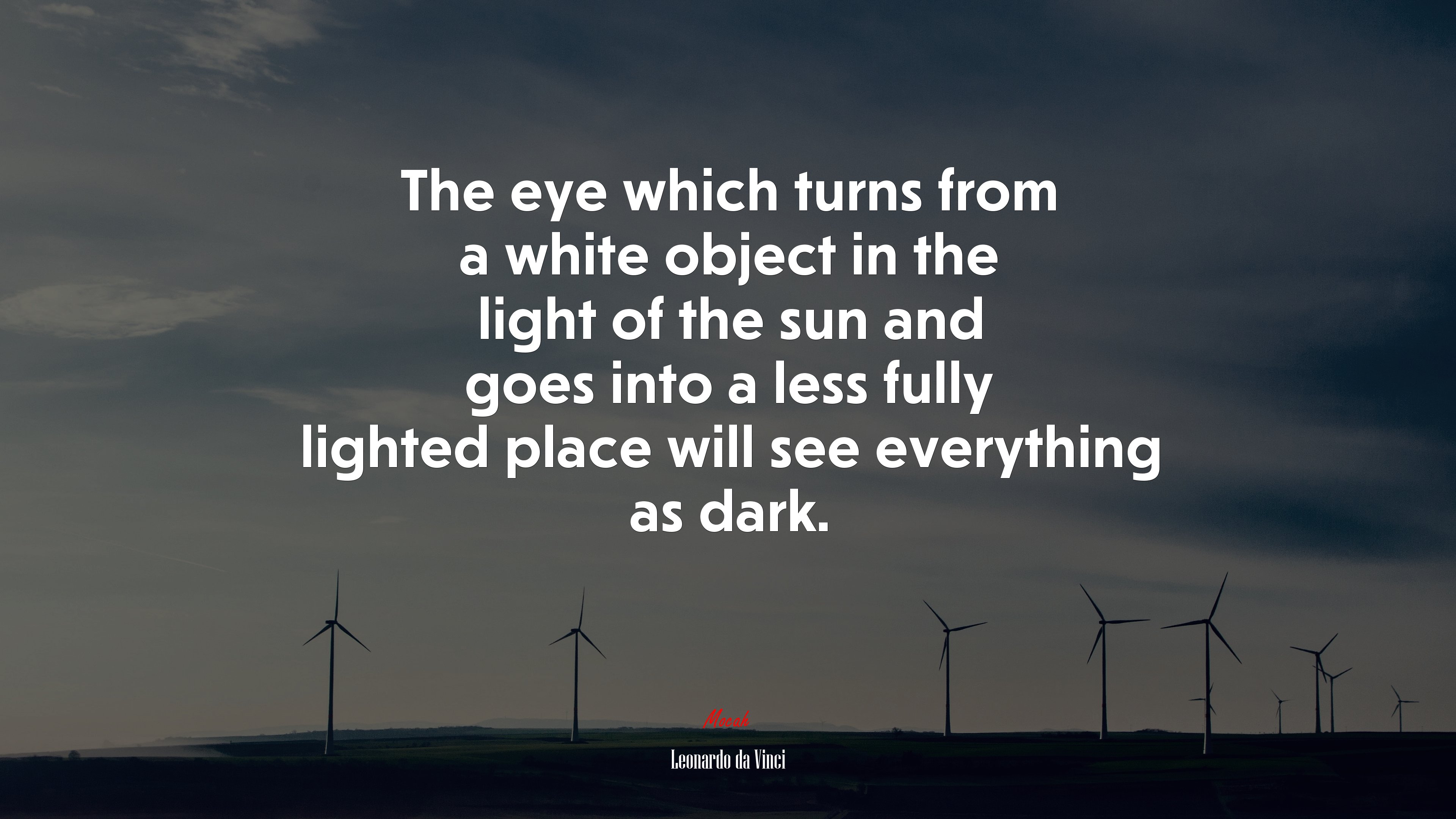 The eye which turns from a white object in the light of the sun and goes into a less fully lighted place will see everything as dark. | Leonardo da Vinci quote HD Wallpaper