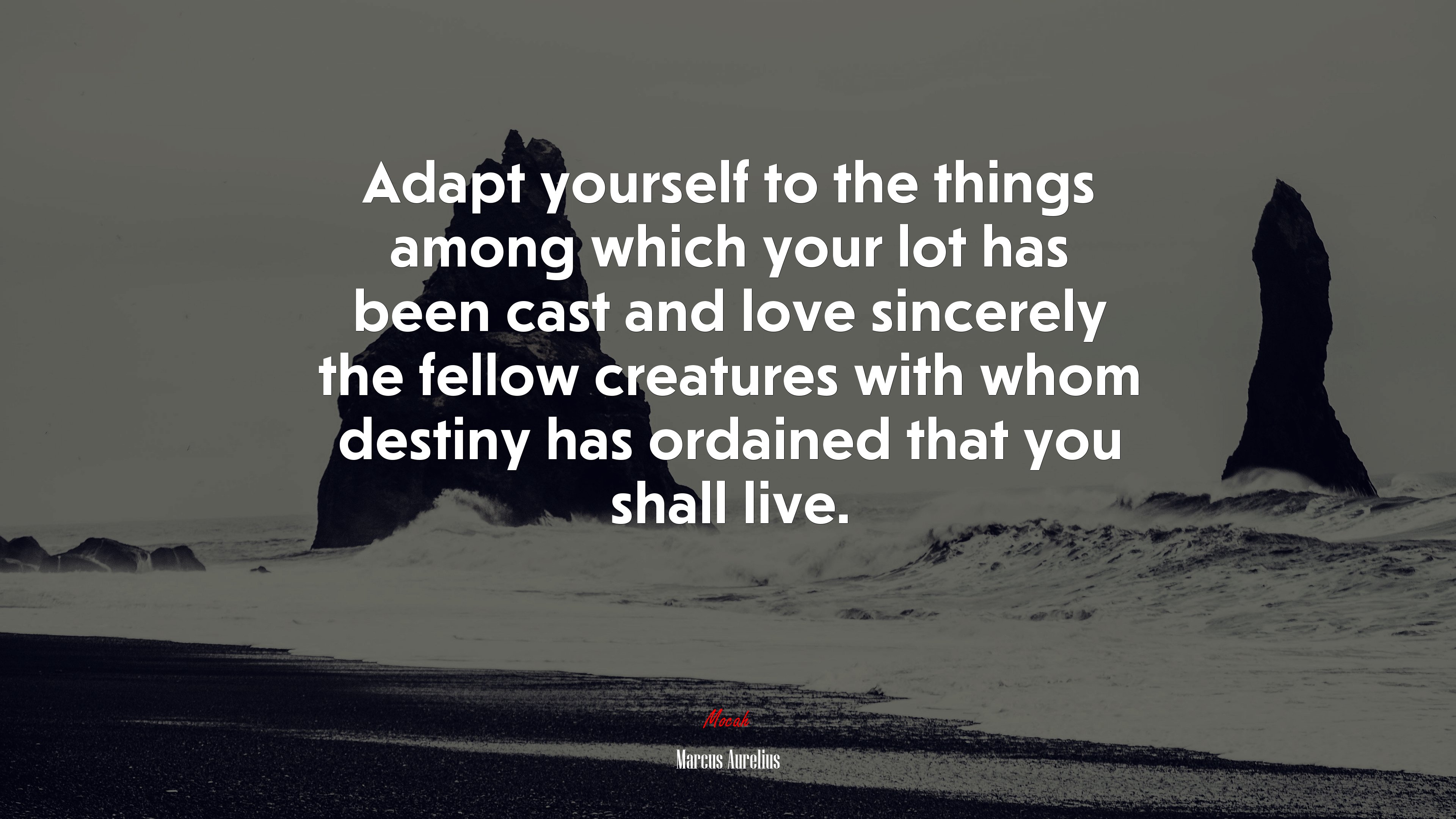 Adapt yourself to the things among which your lot has been cast and love sincerely the fellow creatures with whom destiny has ordained that you shall live. | Marcus Aurelius quote HD Wallpaper