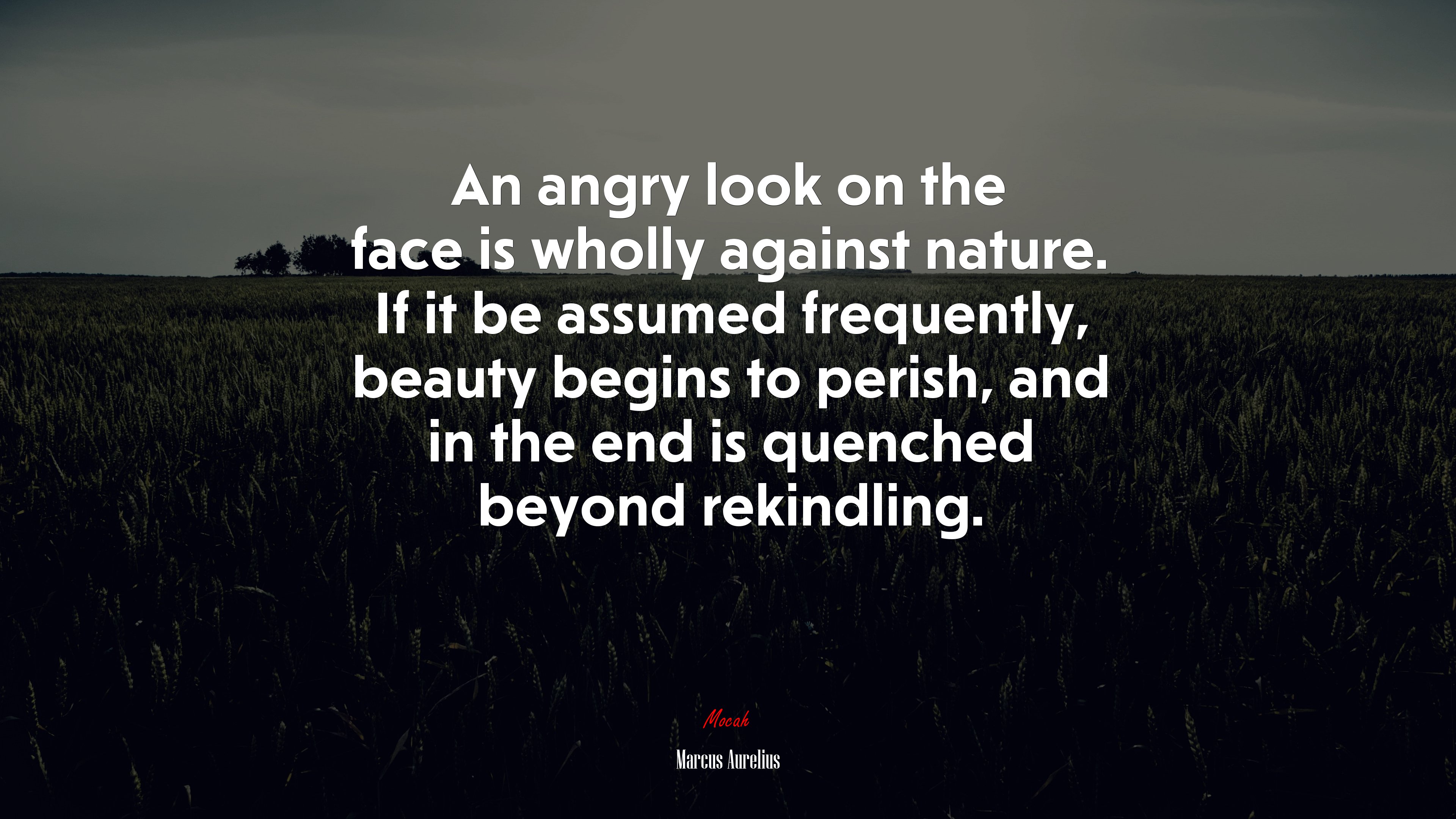 An angry look on the face is wholly against nature. If it be assumed frequently, beauty begins to perish, and in the end is quenched beyond rekindling. | Marcus Aurelius quote HD Wallpaper