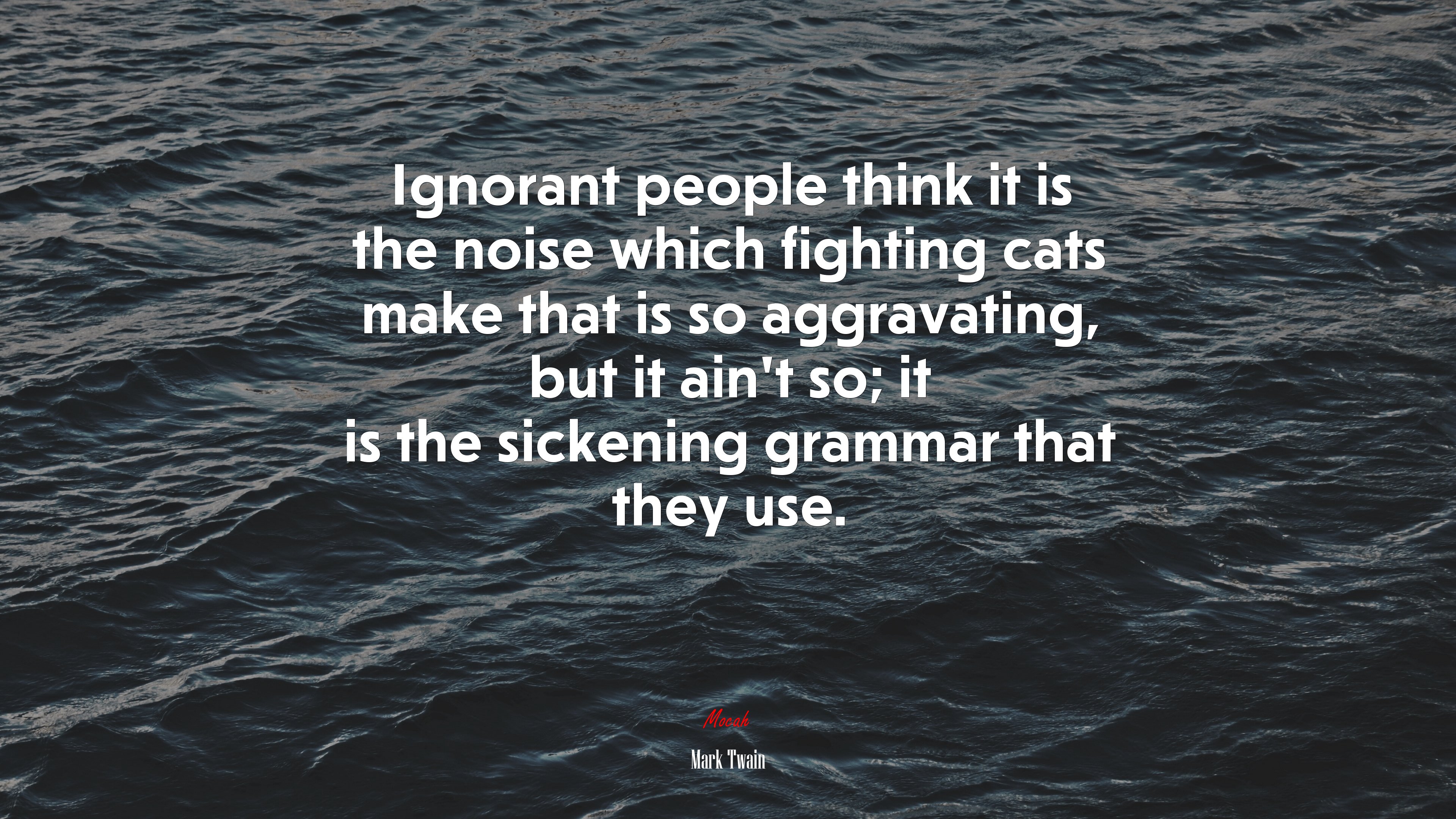 Ignorant people think it is the noise which fighting cats make that is so aggravating, but it ain’t so; it is the sickening grammar that they use. | Mark Twain quote HD Wallpaper
