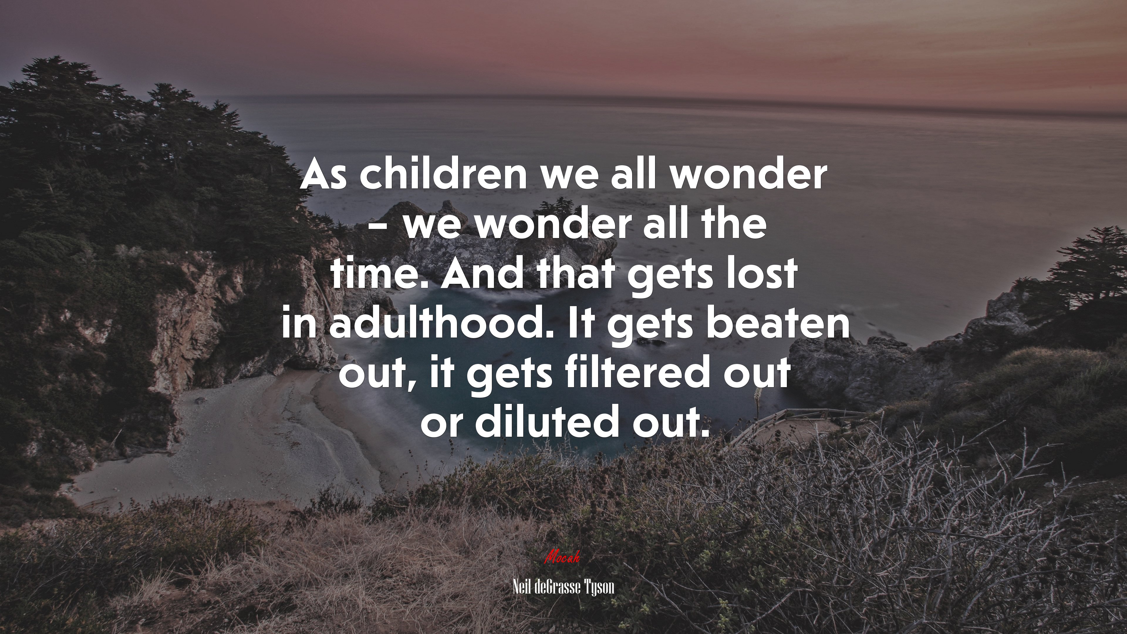 As children we all wonder – we wonder all the time. And that gets lost in adulthood. It gets beaten out, it gets filtered out or diluted out. | Neil deGrasse Tyson quote HD Wallpaper