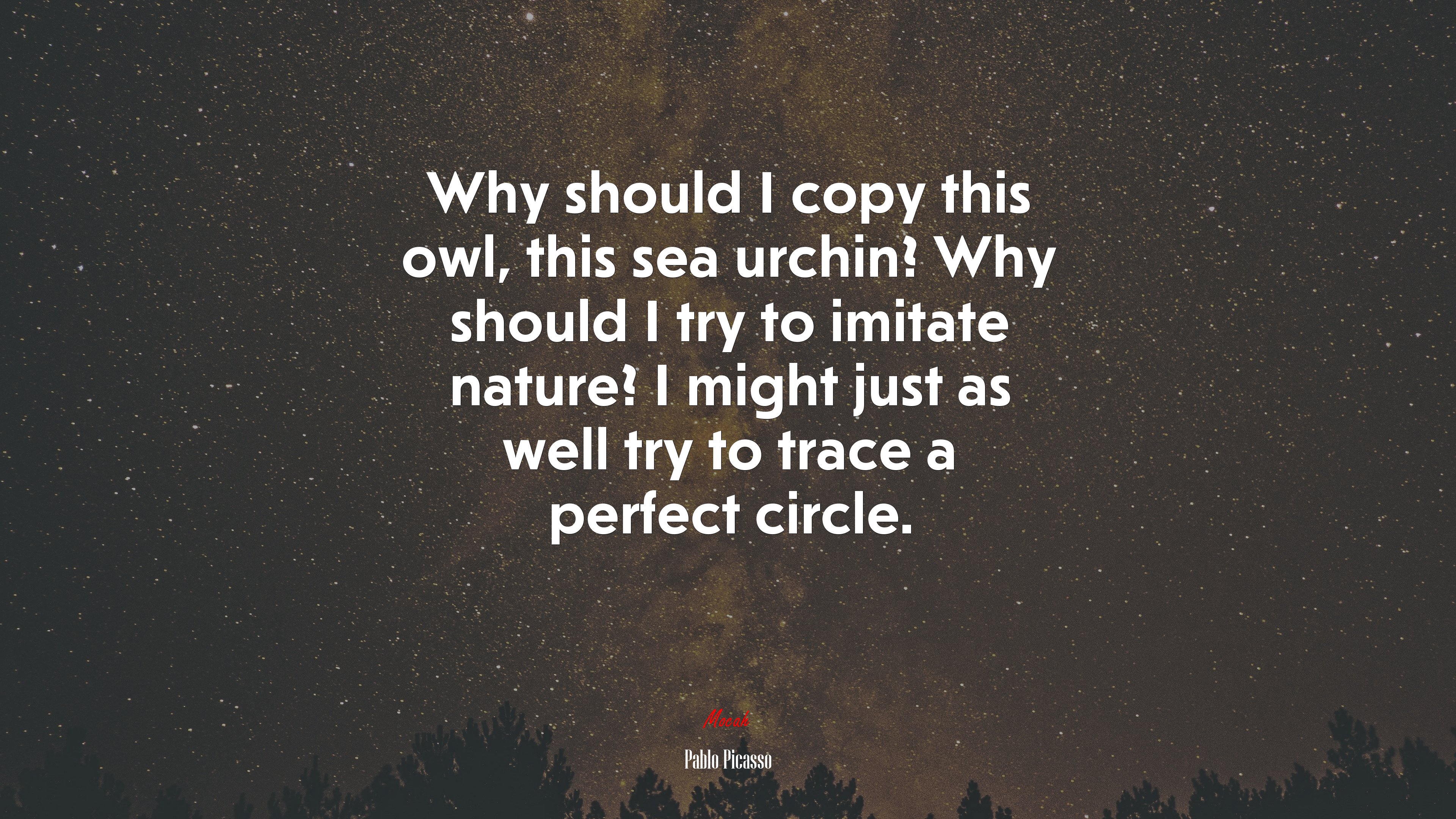 Why should I copy this owl, this sea urchin? Why should I try to imitate nature? I might just as well try to trace a perfect circle. | Pablo Picasso quote HD Wallpaper