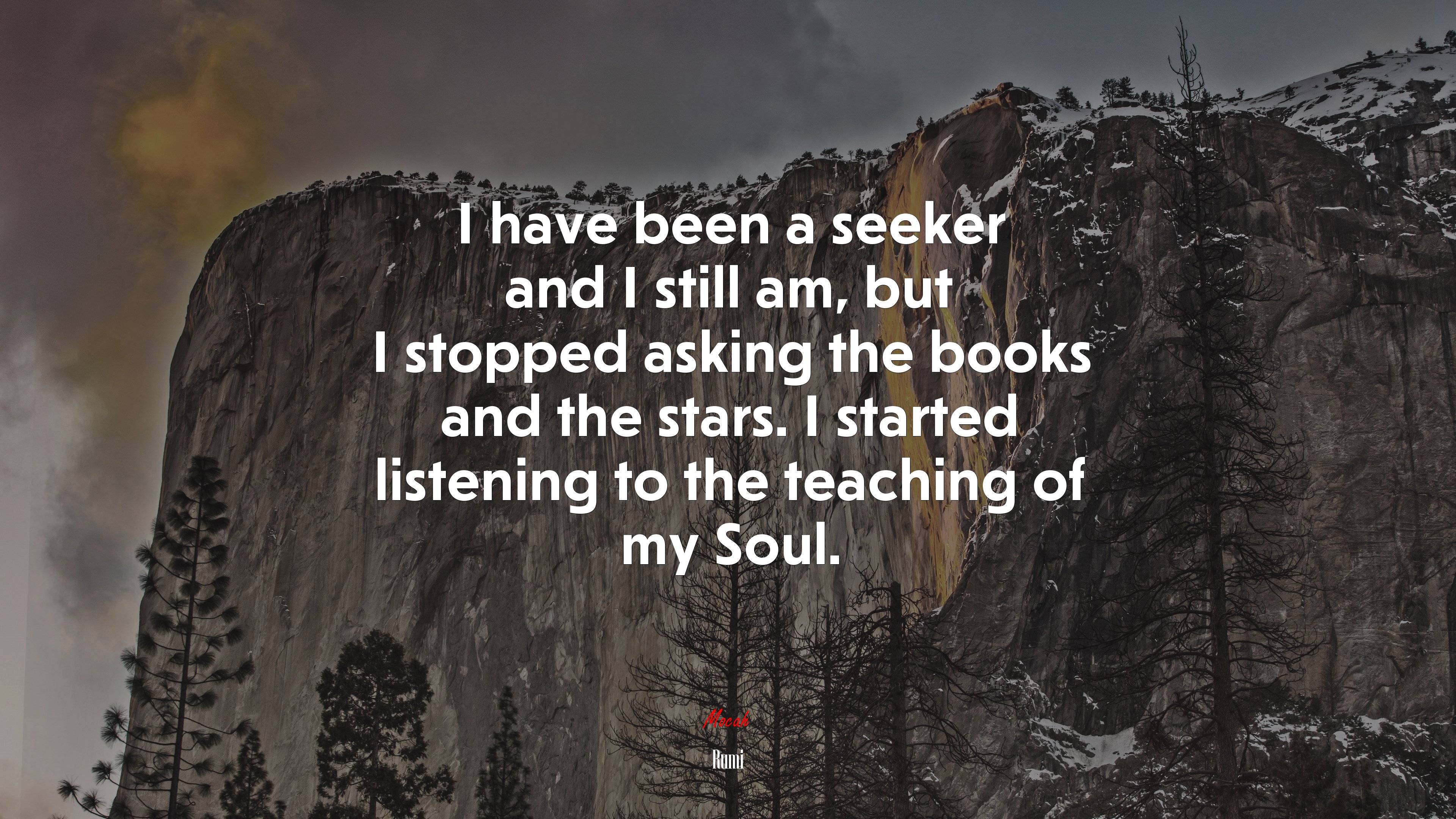 I have been a seeker and I still am, but I stopped asking the books and the stars. I started listening to the teaching of my Soul. | Rumi quote HD Wallpaper