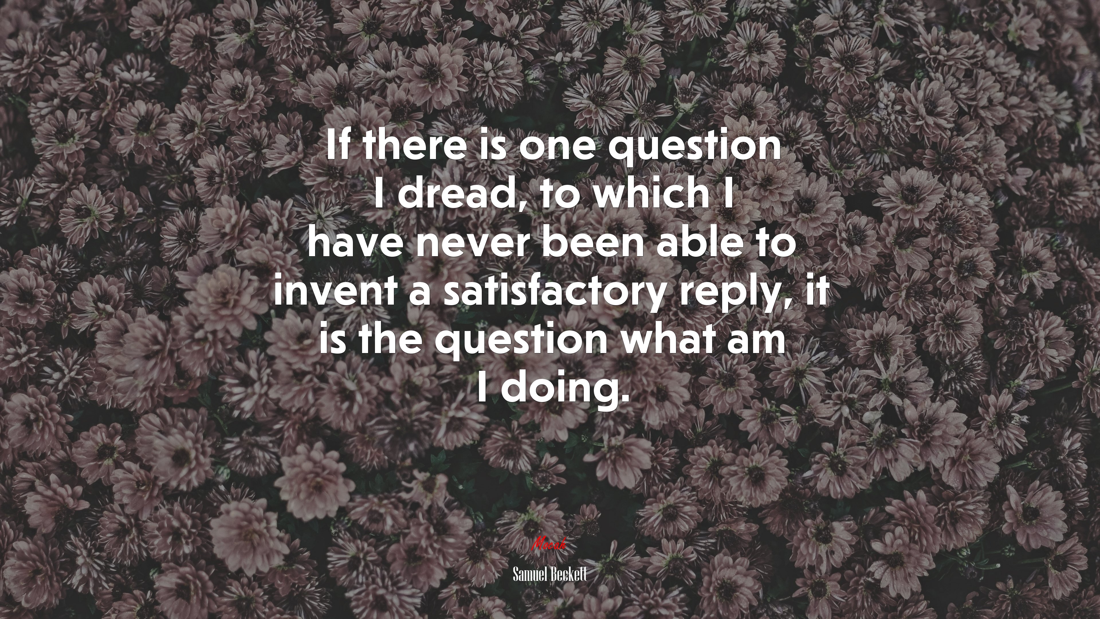 If there is one question I dread, to which I have never been able to invent a satisfactory reply, it is the question what am I doing. | Samuel Beckett quote HD Wallpaper