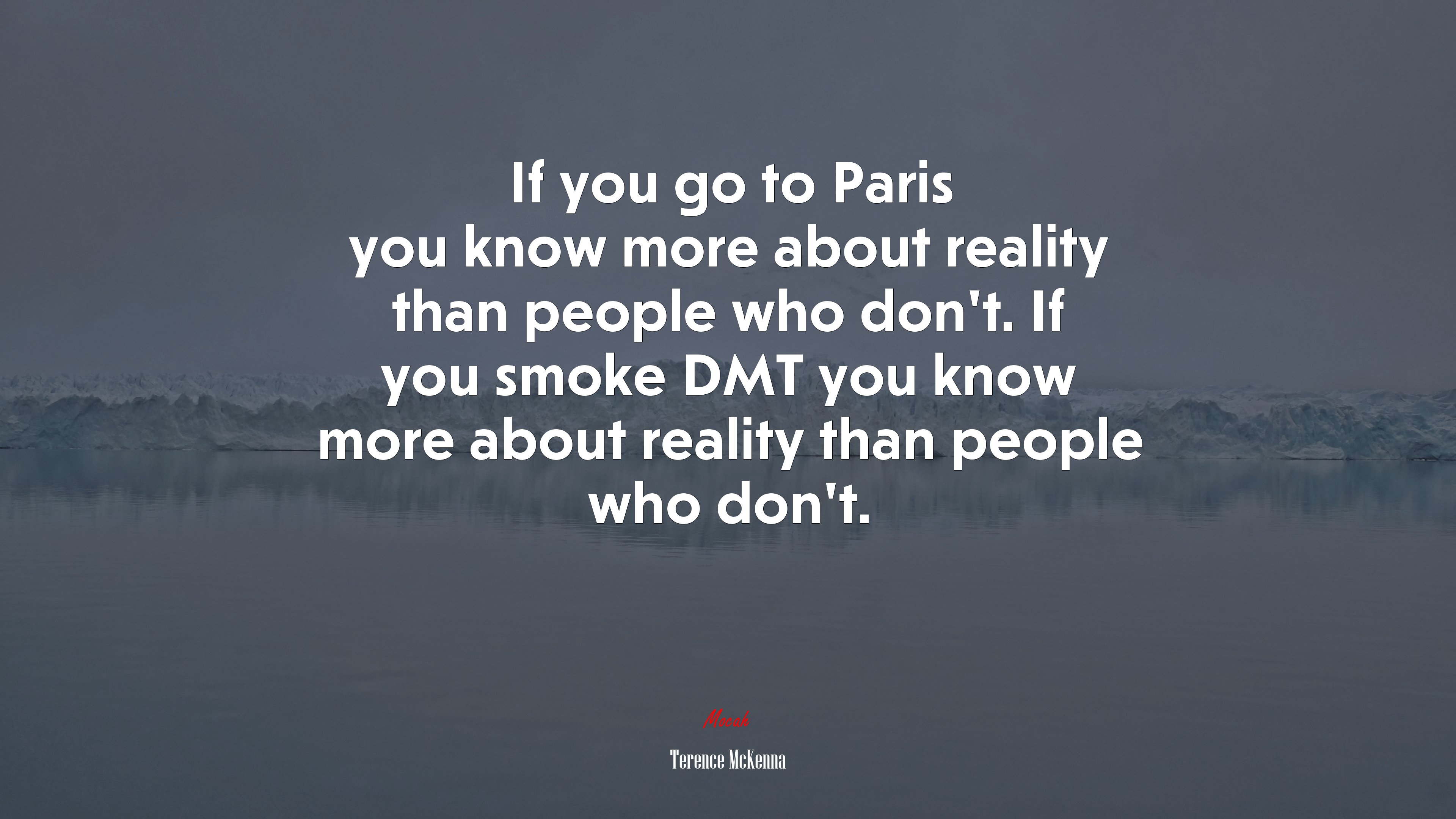 If you go to Paris you know more about reality than people who don’t. If you smoke DMT you know more about reality than people who don’t. | Terence McKenna quote HD Wallpaper