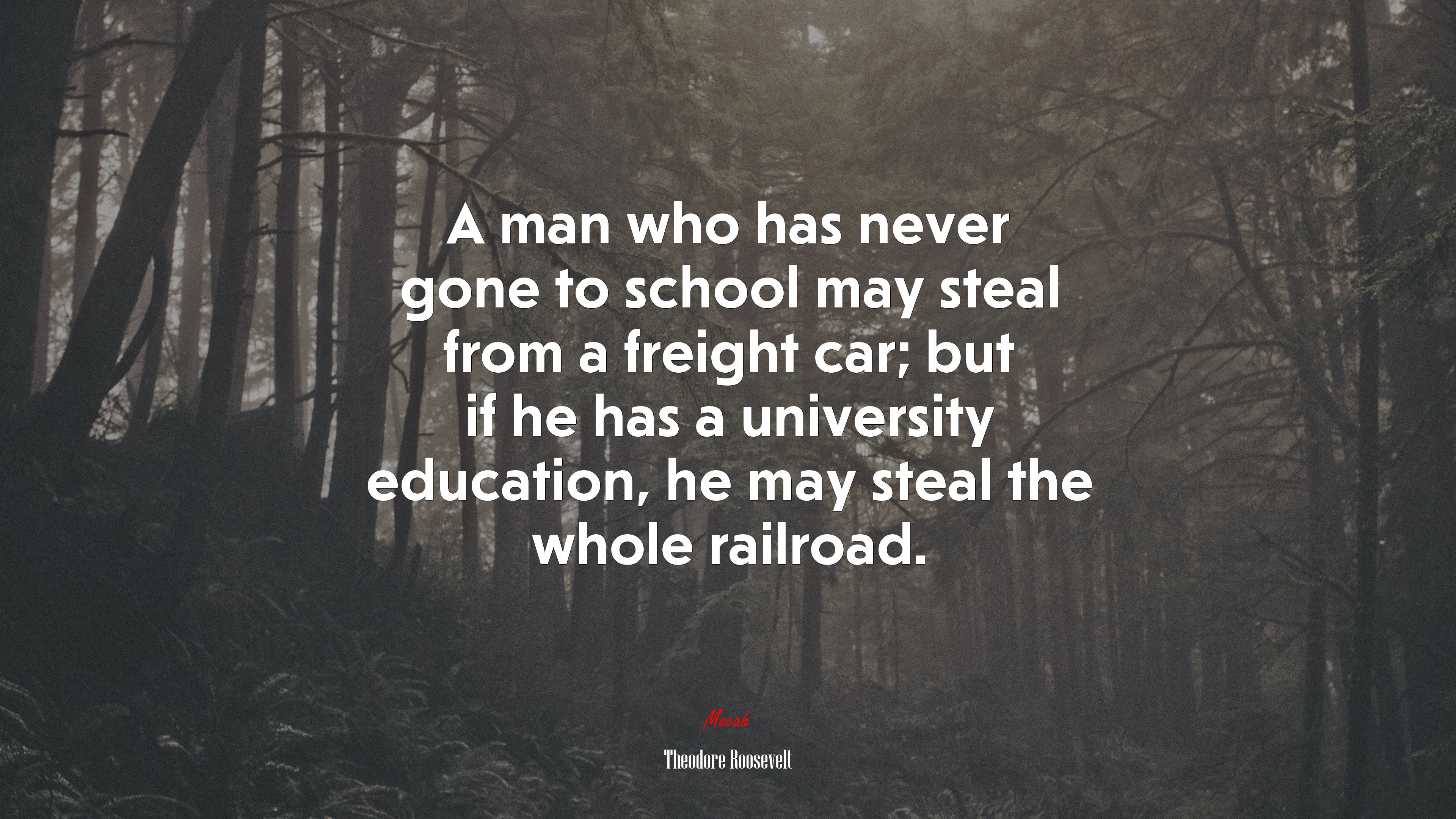 A man who has never gone to school may steal from a freight car; but if he has a university education, he may steal the whole railroad. | Theodore Roosevelt quote HD Wallpaper