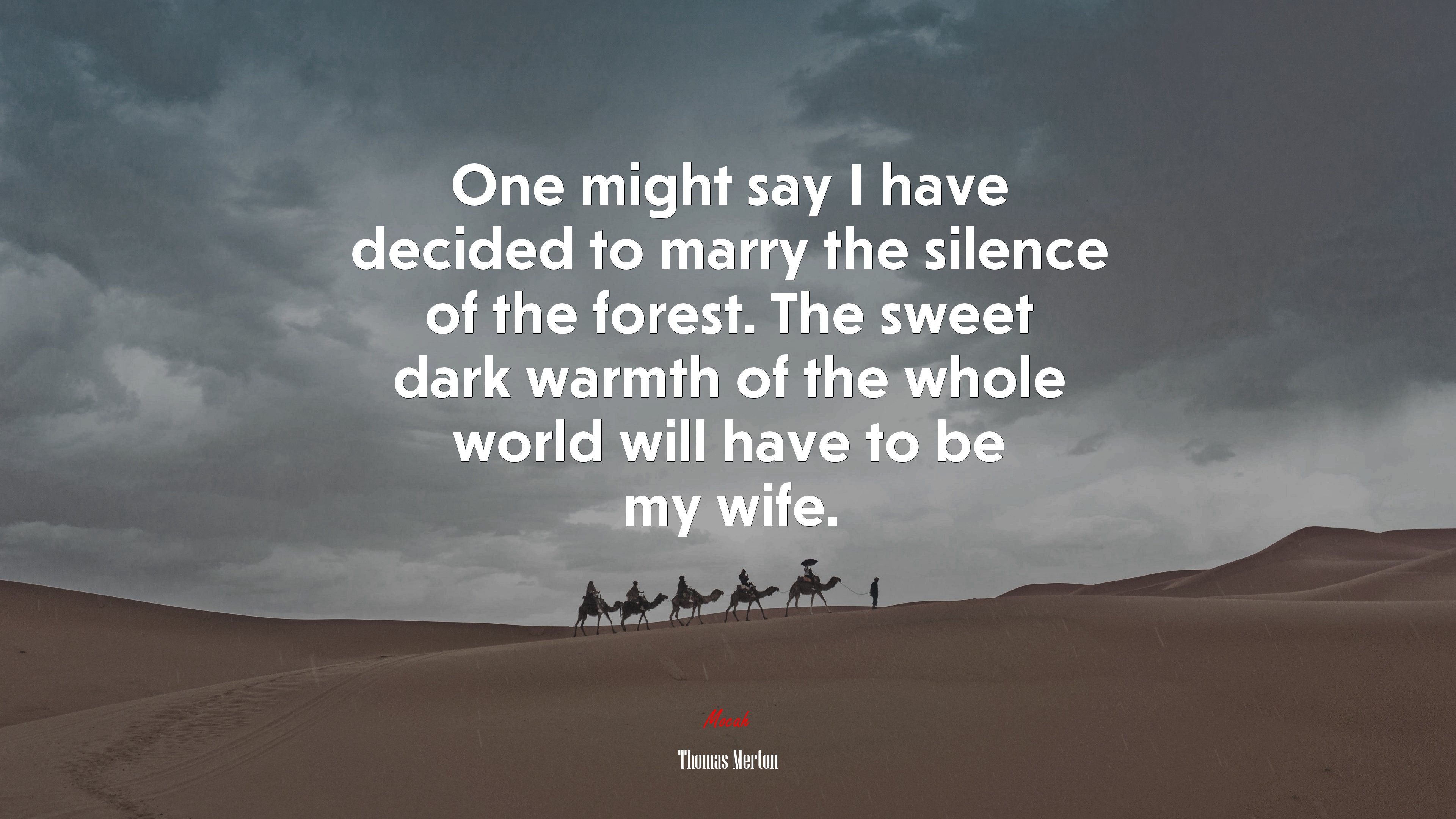 One might say I have decided to marry the silence of the forest. The sweet dark warmth of the whole world will have to be my wife. | Thomas Merton quote HD Wallpaper