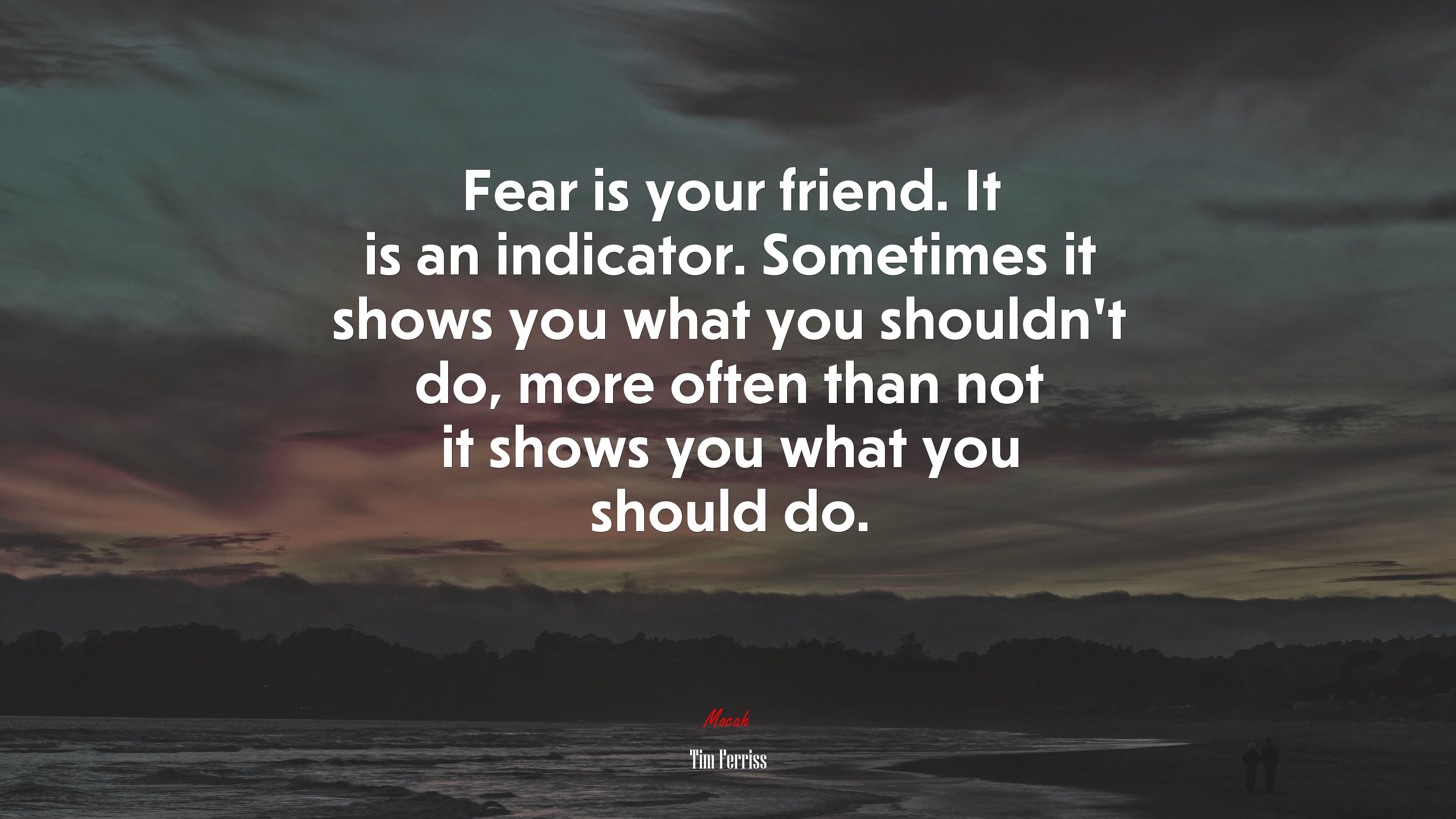 Fear is your friend. It is an indicator. Sometimes it shows you what you shouldn’t do, more often than not it shows you what you should do. | Tim Ferriss quote HD Wallpaper