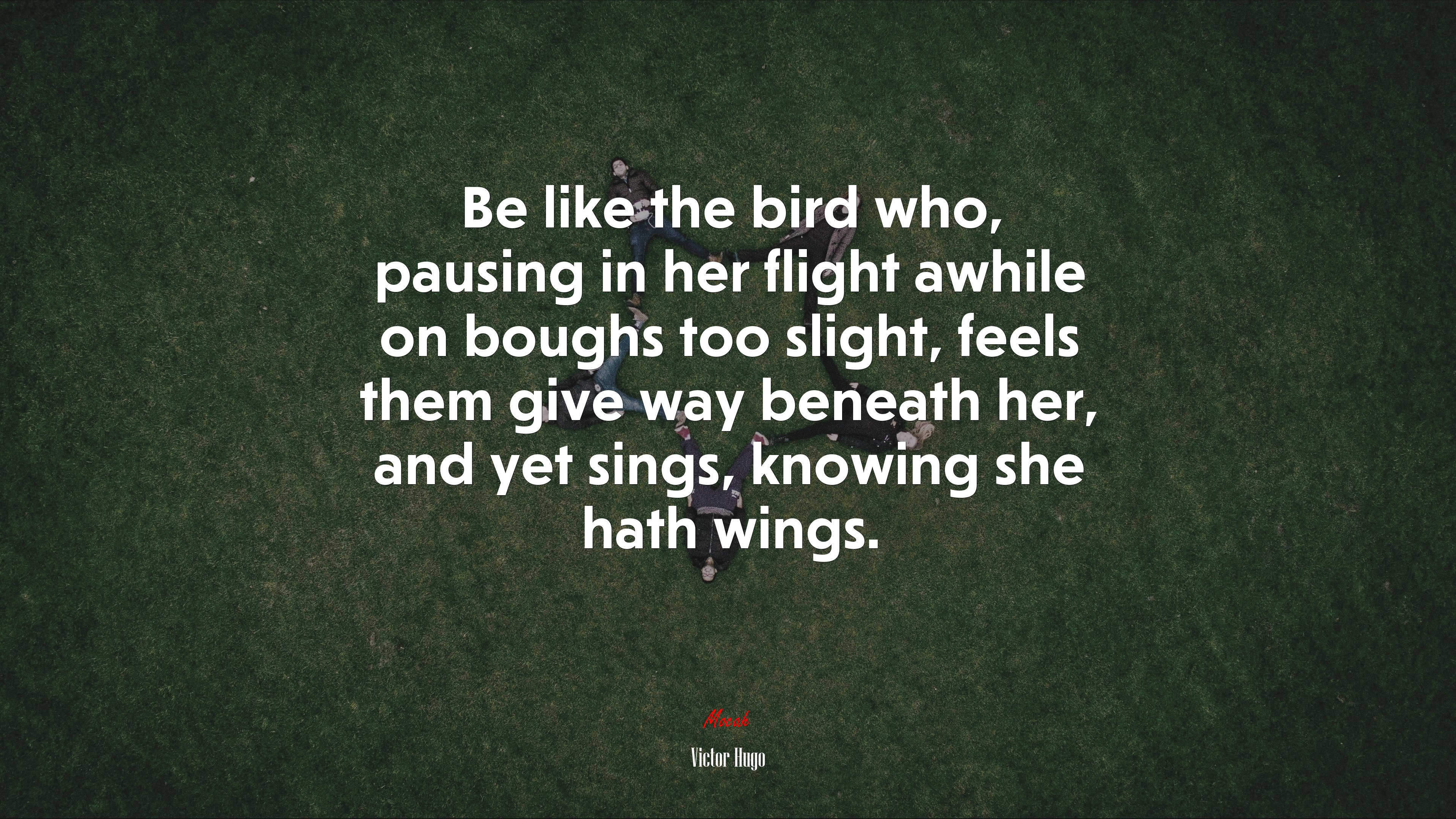 Be like the bird who, pausing in her flight awhile on boughs too slight, feels them give way beneath her, and yet sings, knowing she hath wings. | Victor Hugo quote HD Wallpaper