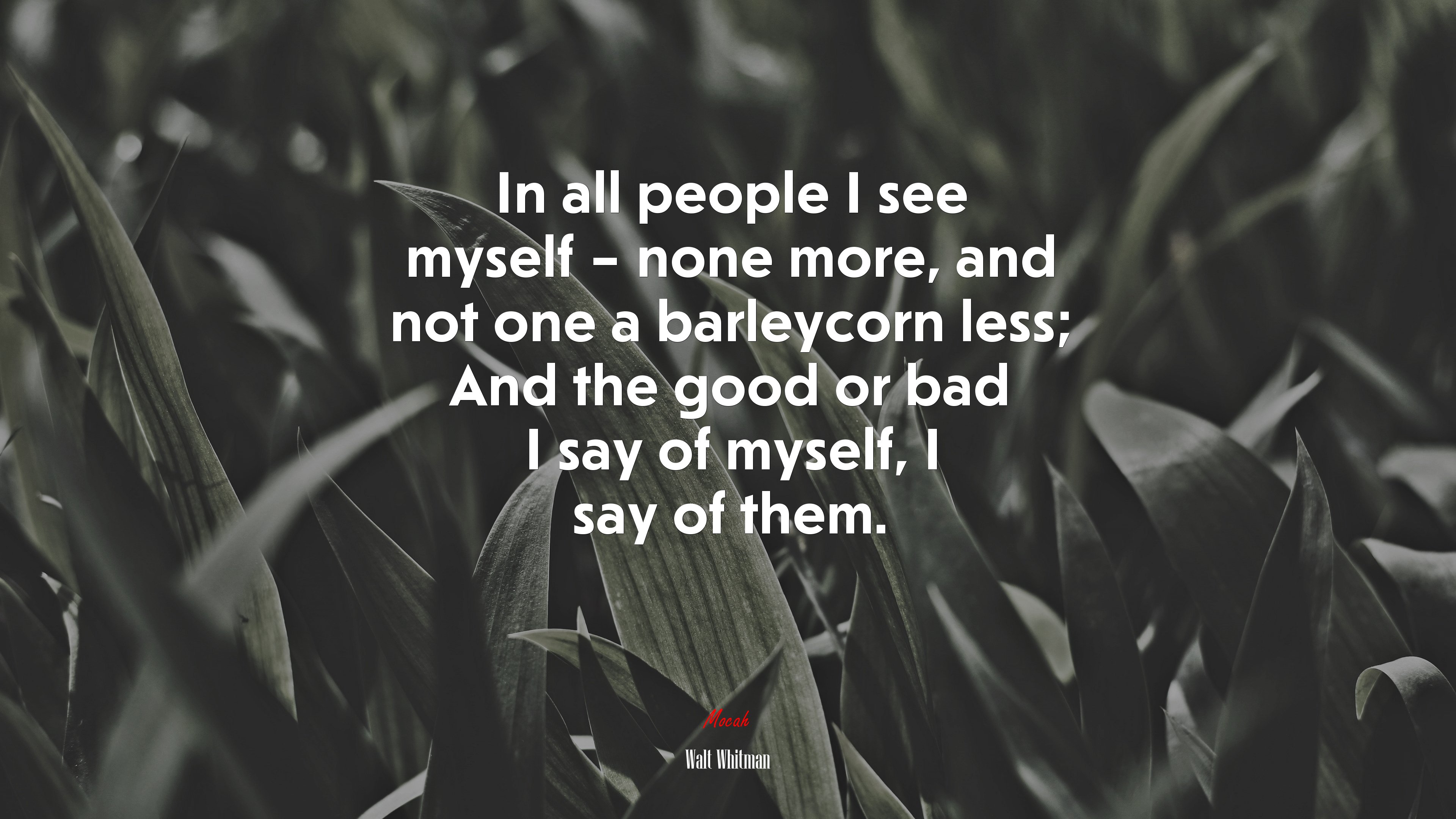 In all people I see myself – none more, and not one a barleycorn less; And the good or bad I say of myself, I say of them. | Walt Whitman quote HD Wallpaper