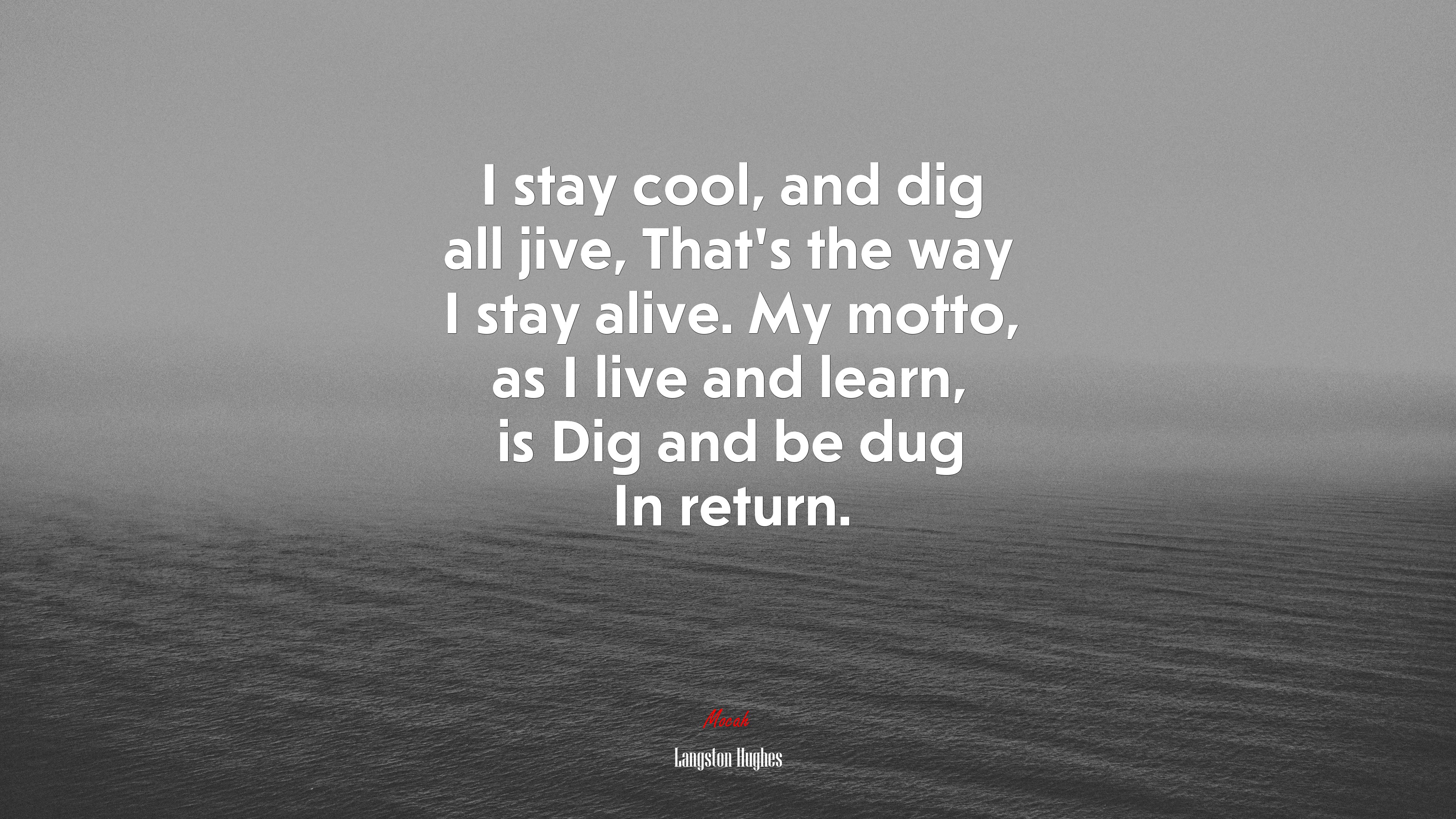 I stay cool, and dig all jive, That’s the way I stay alive. My motto, as I live and learn, is Dig and be dug In return. | Langston Hughes quote HD Wallpaper