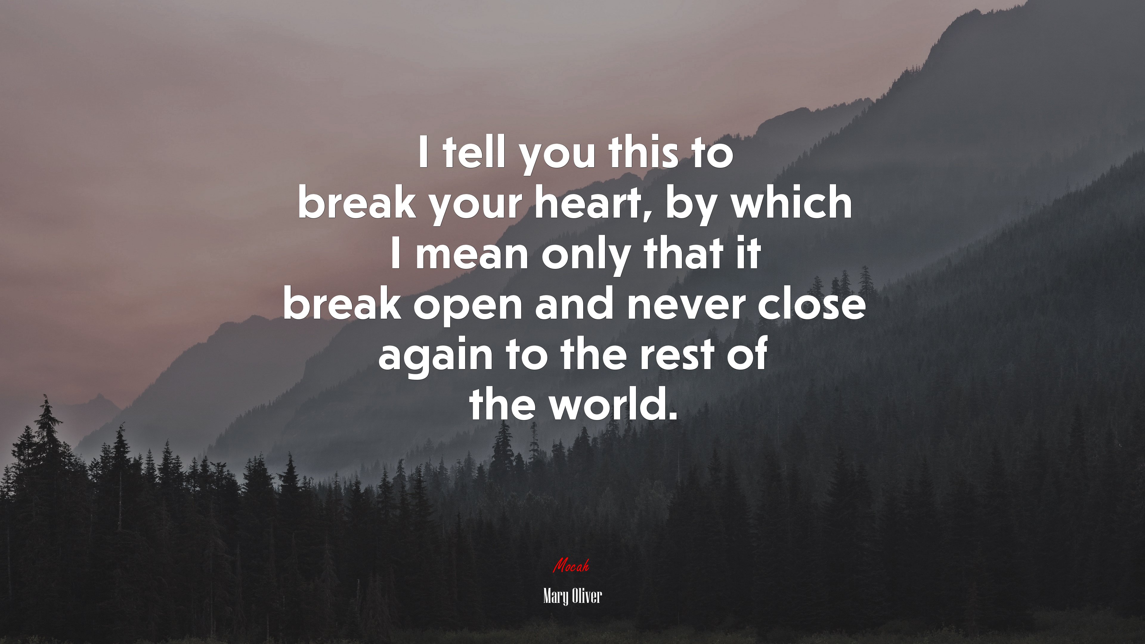I tell you this to break your heart, by which I mean only that it break open and never close again to the rest of the world. | Mary Oliver quote HD Wallpaper