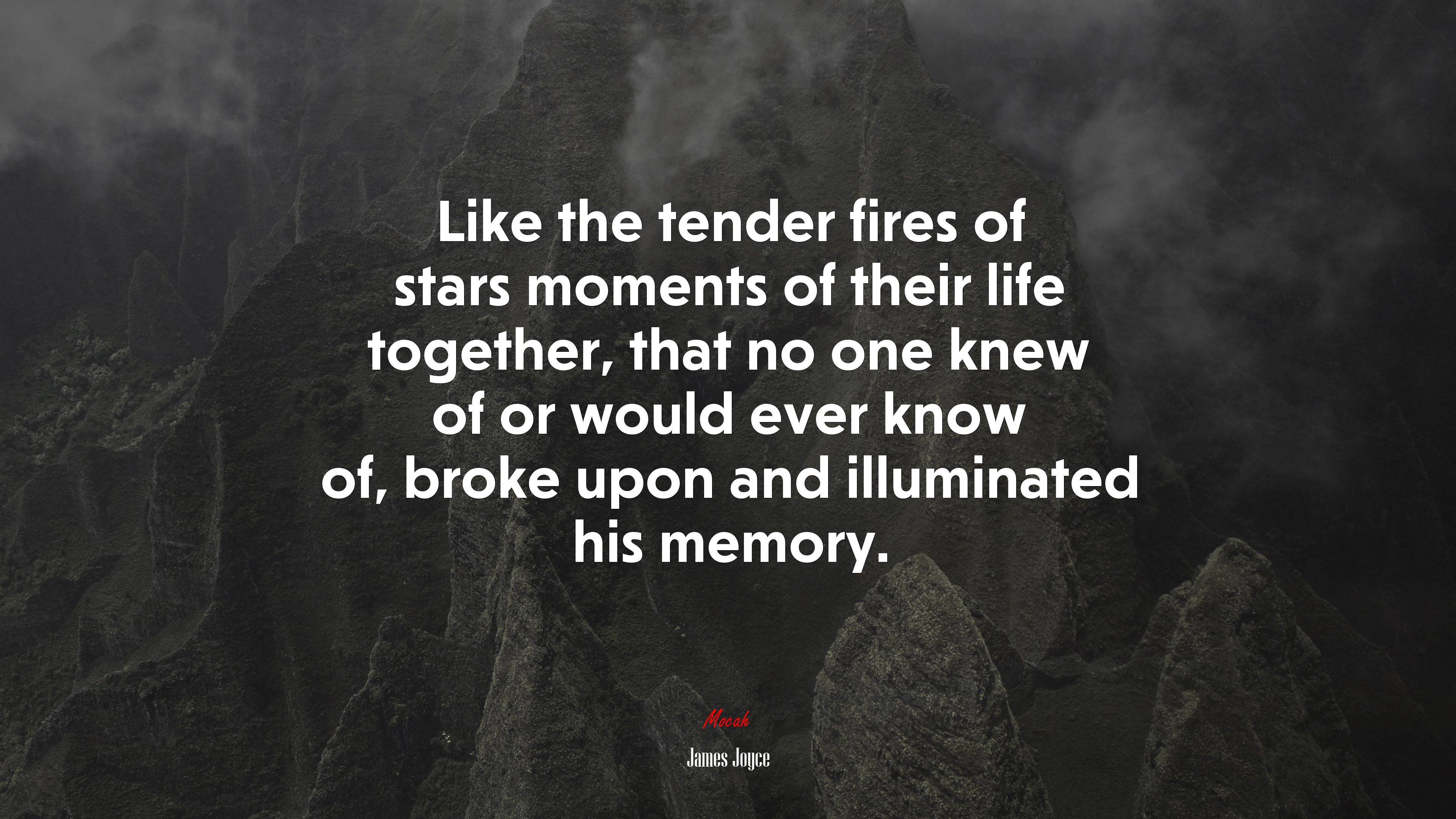 Like the tender fires of stars moments of their life together, that no one knew of or would ever know of, broke upon and illuminated his memory. | James Joyce quote HD Wallpaper
