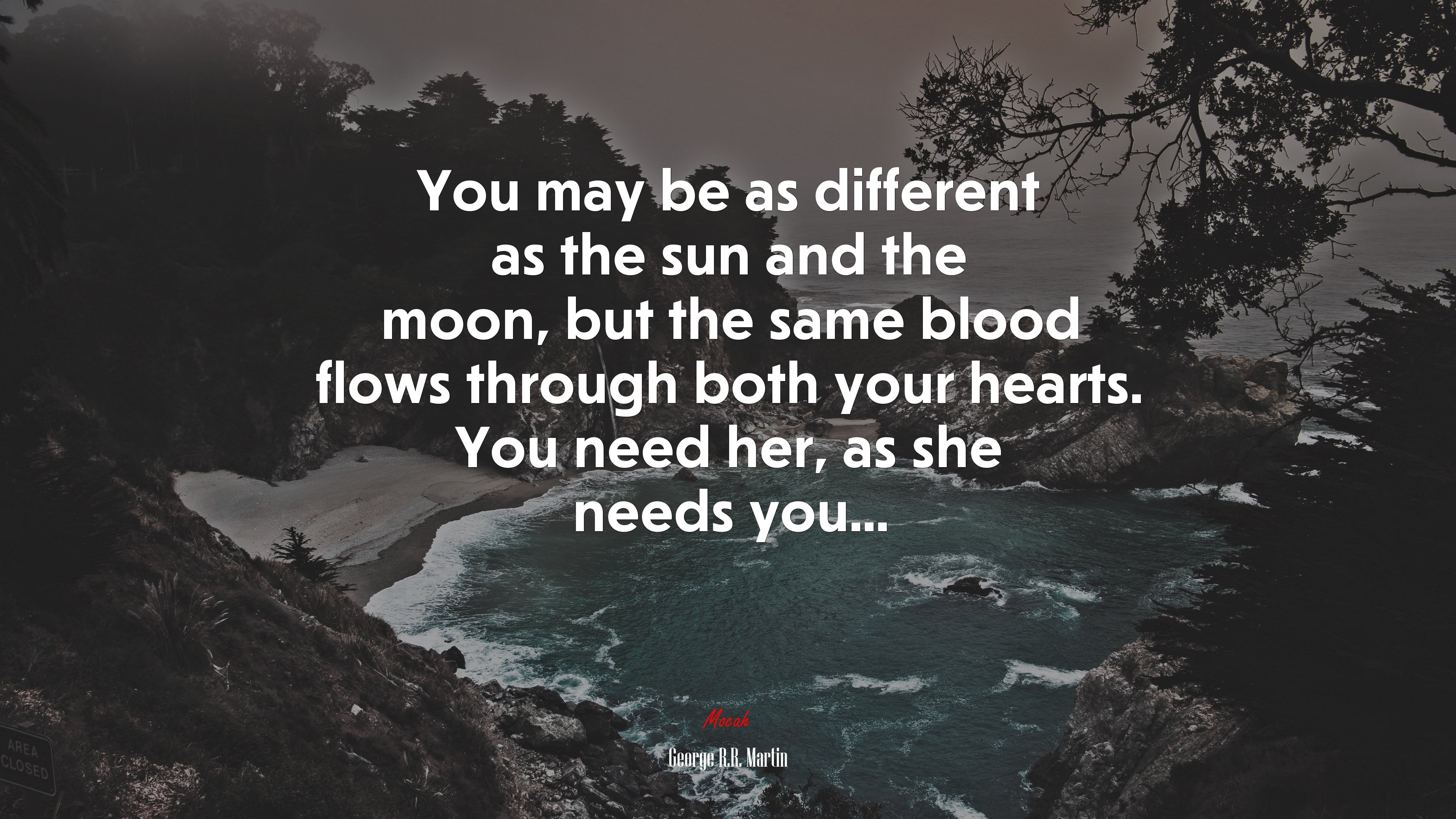 You may be as different as the sun and the moon, but the same blood flows through both your hearts. You need her, as she needs you... | George R.R. Martin quote HD Wallpaper