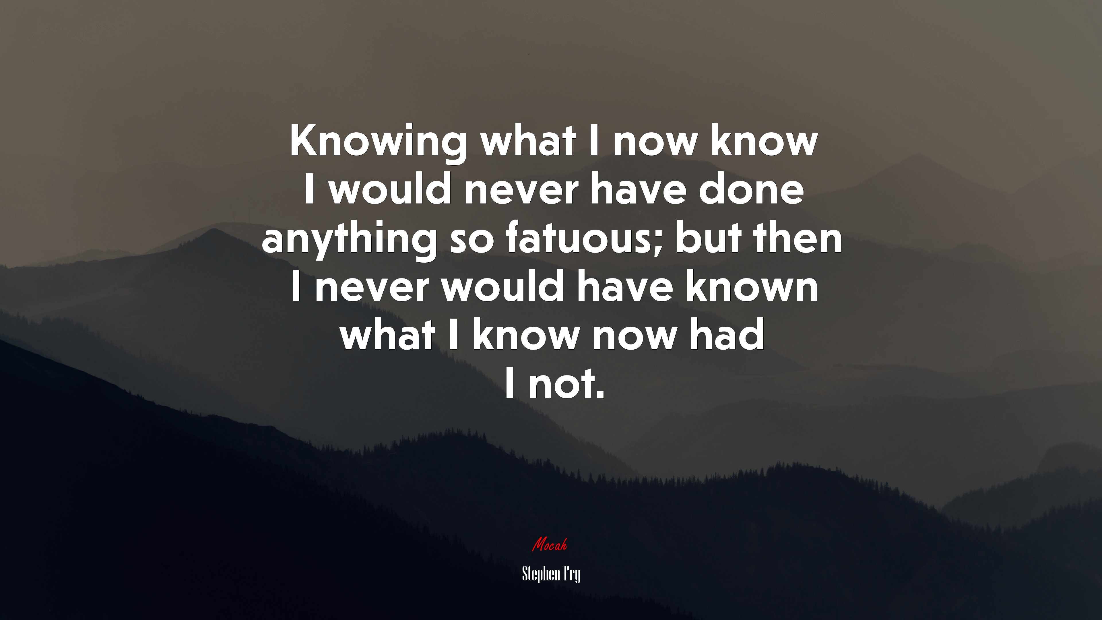 Knowing what I now know I would never have done anything so fatuous; but then I never would have known what I know now had I not. | Stephen Fry quote HD Wallpaper