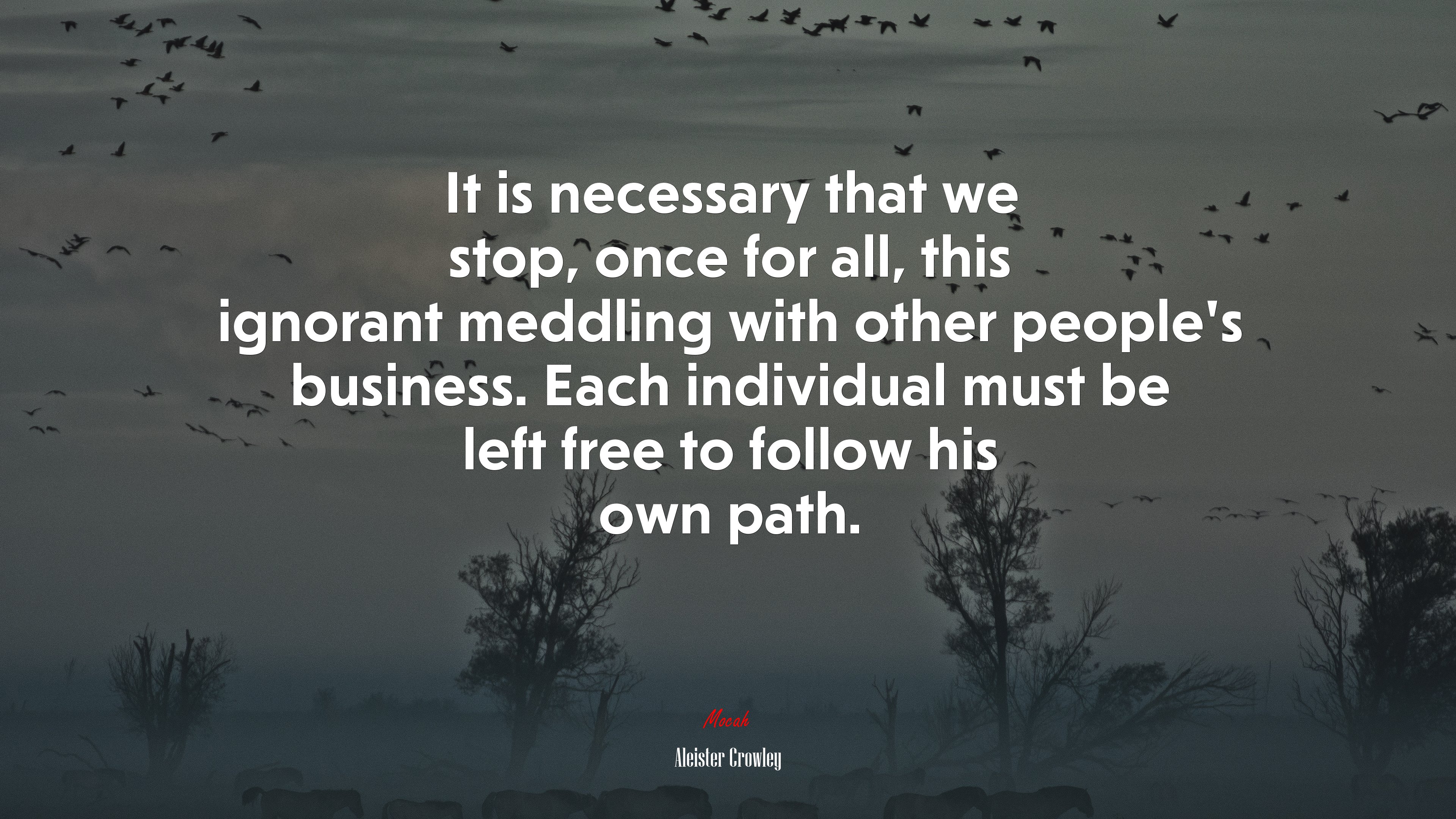 It is necessary that we stop, once for all, this ignorant meddling with other people’s business. Each individual must be left free to follow his own path. | Aleister Crowley quote HD Wallpaper