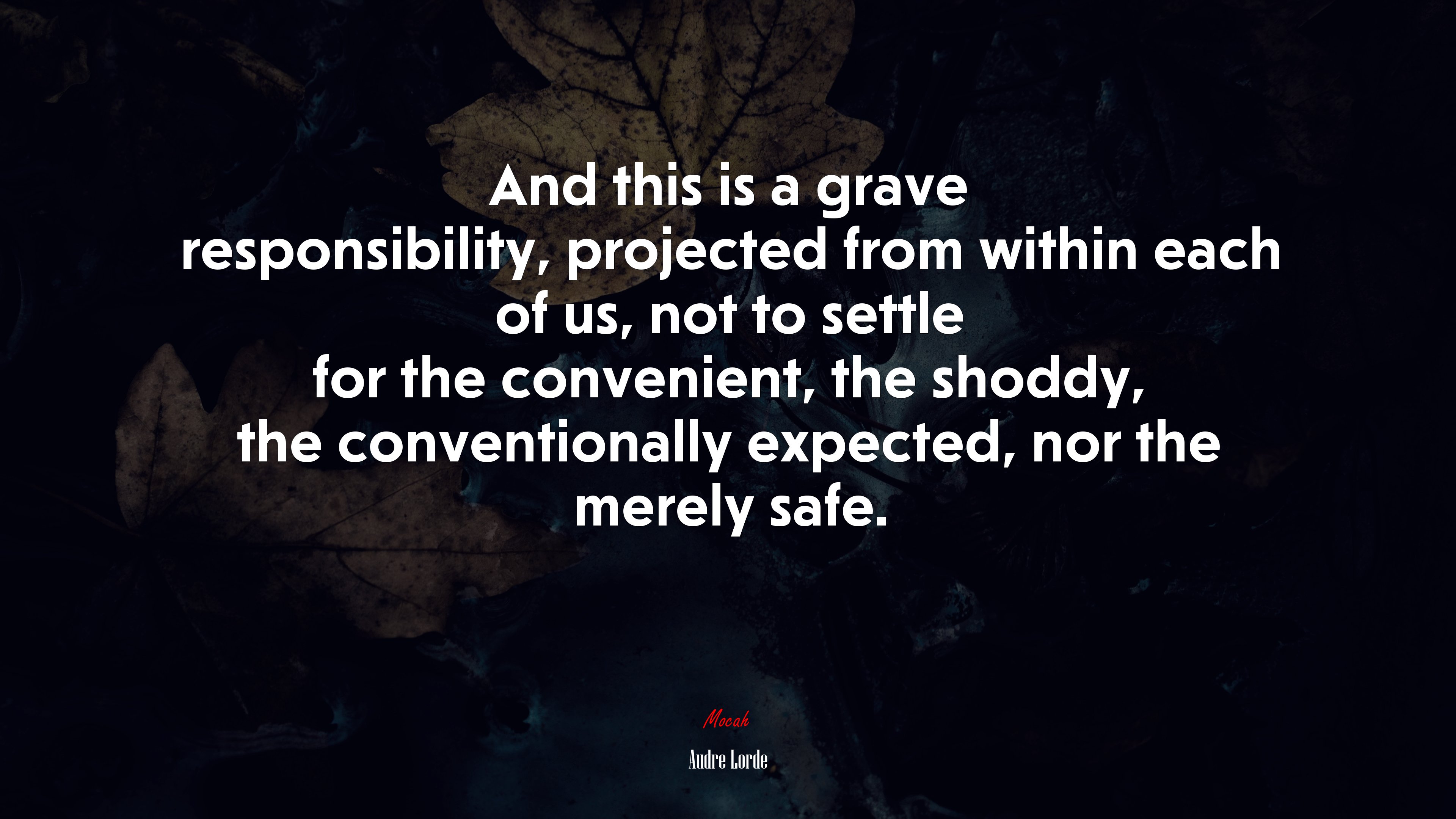 And this is a grave responsibility, projected from within each of us, not to settle for the convenient, the shoddy, the conventionally expected, nor the merely safe. | Audre Lorde quote HD Wallpaper