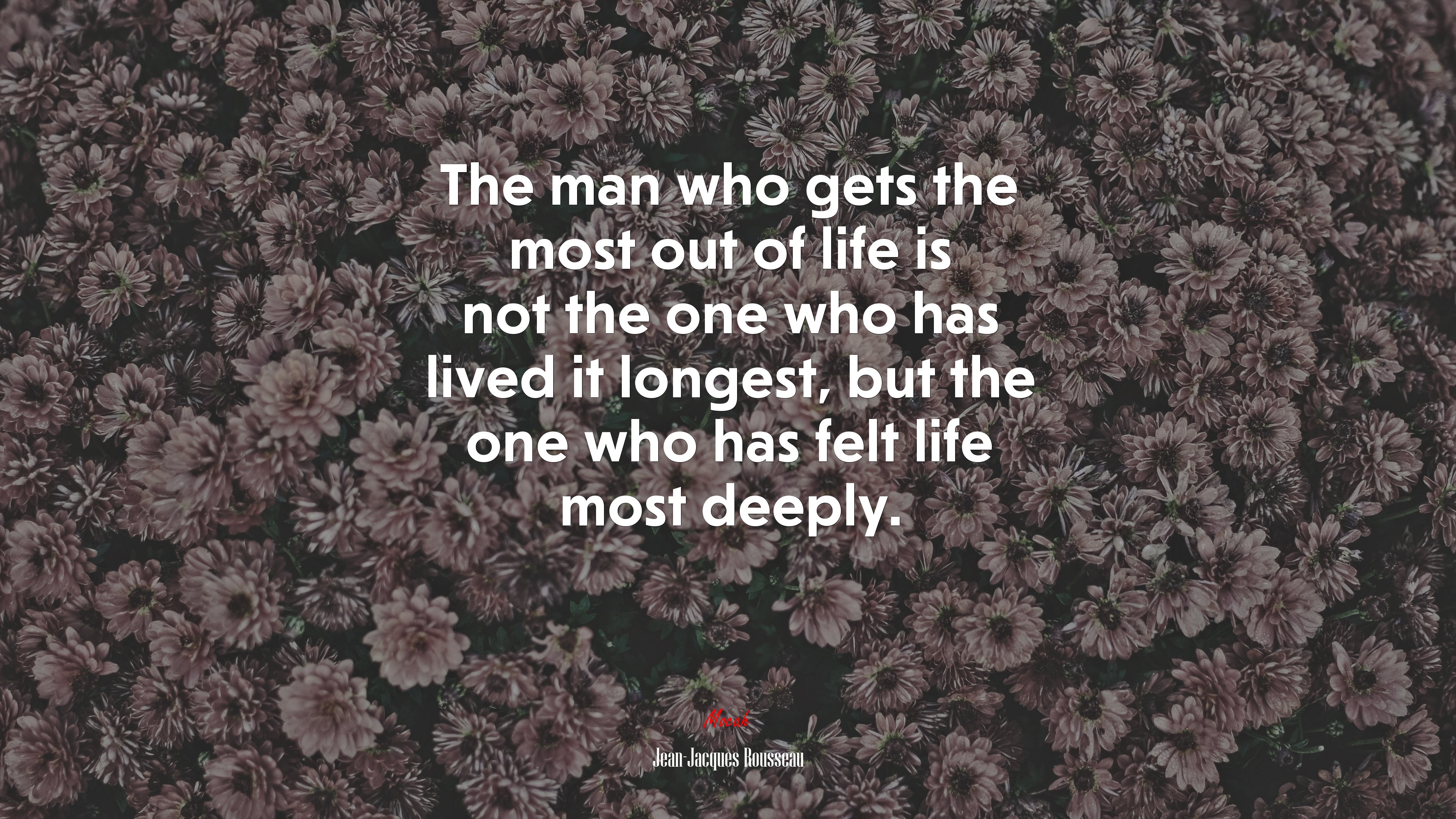 The man who gets the most out of life is not the one who has lived it longest, but the one who has felt life most deeply. | Jean-Jacques Rousseau quote HD Wallpaper