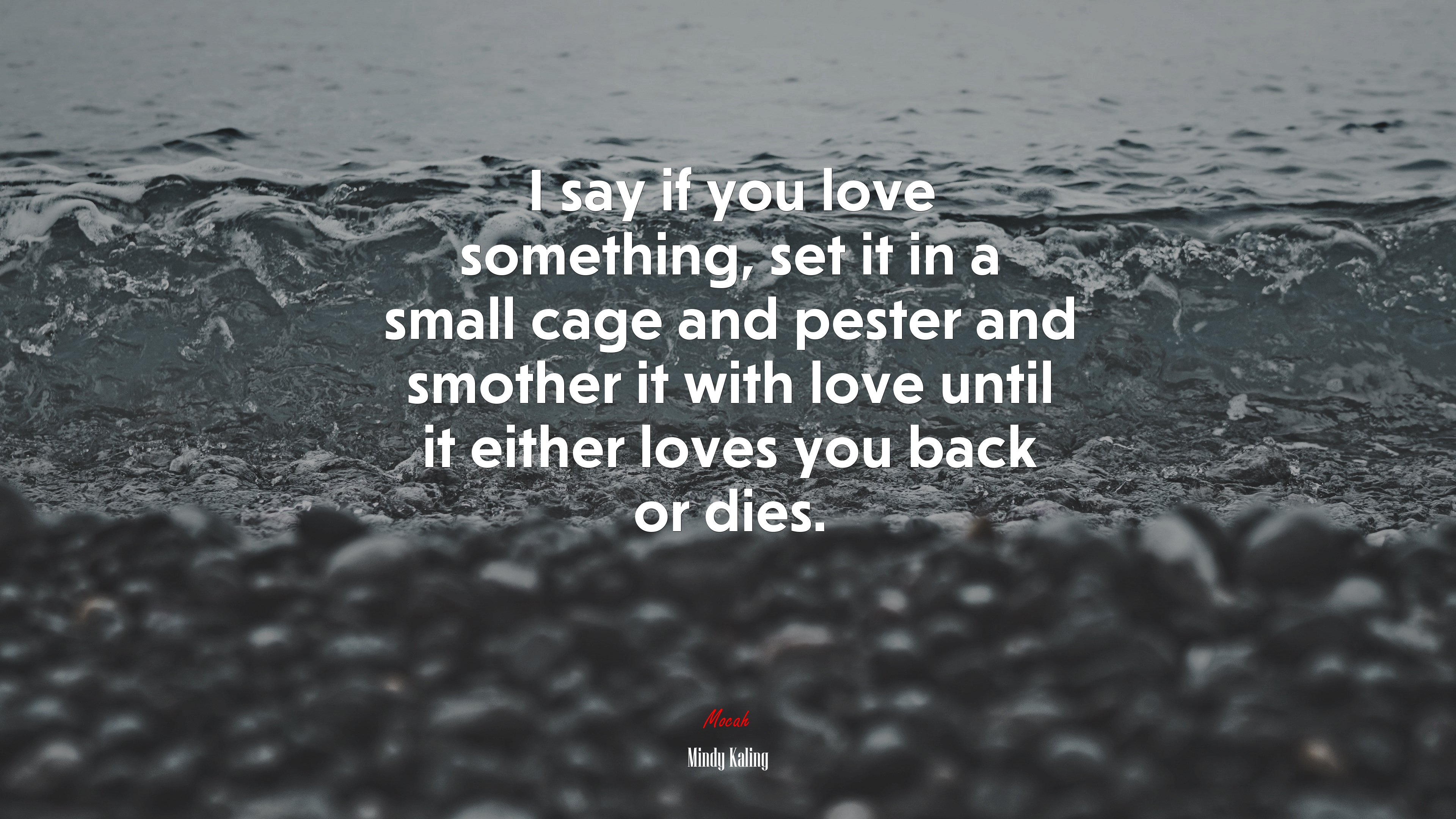 I say if you love something, set it in a small cage and pester and smother it with love until it either loves you back or dies. | Mindy Kaling quote HD Wallpaper