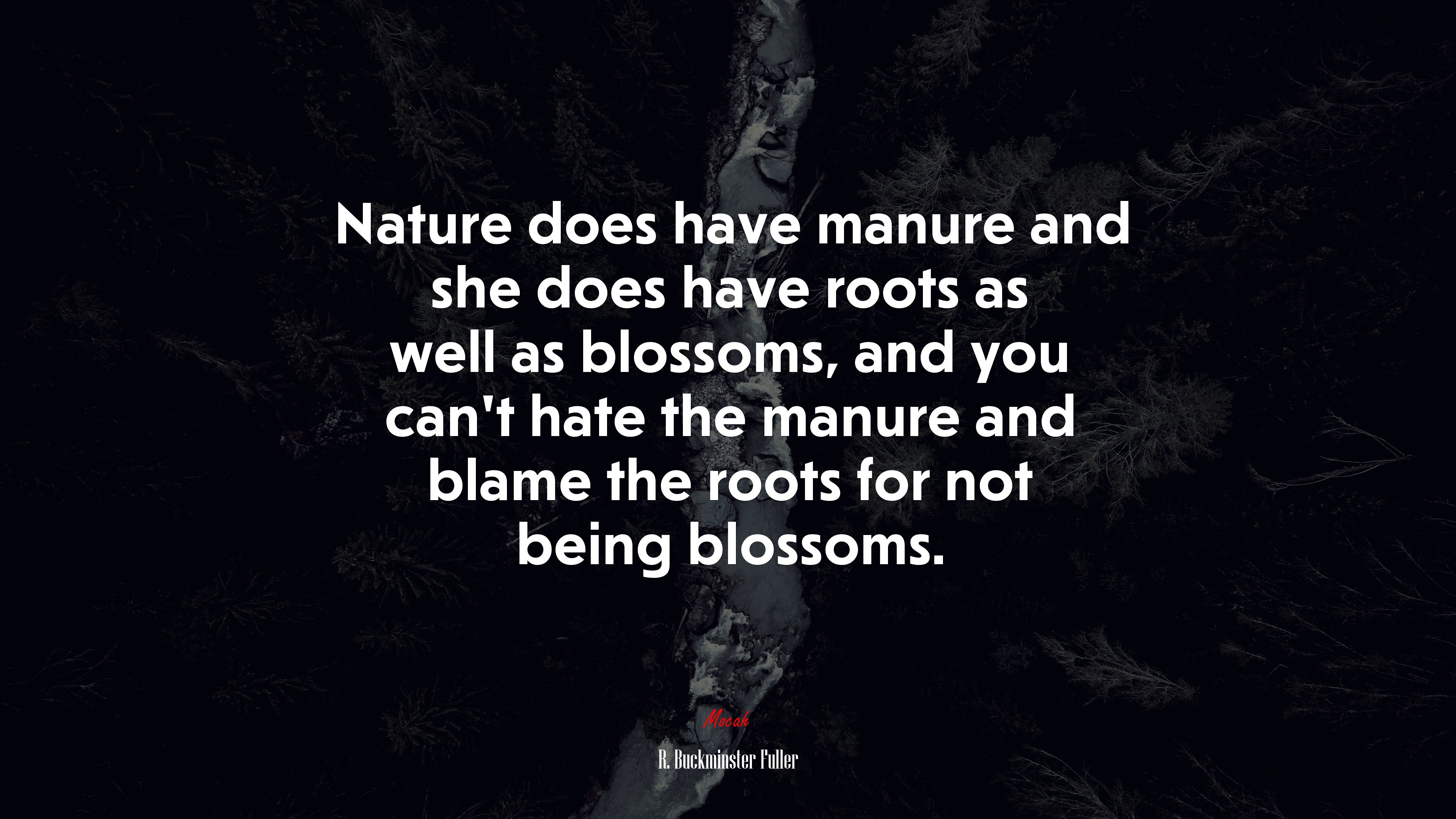 Nature does have manure and she does have roots as well as blossoms, and you can’t hate the manure and blame the roots for not being blossoms. | R. Buckminster Fuller quote HD Wallpaper