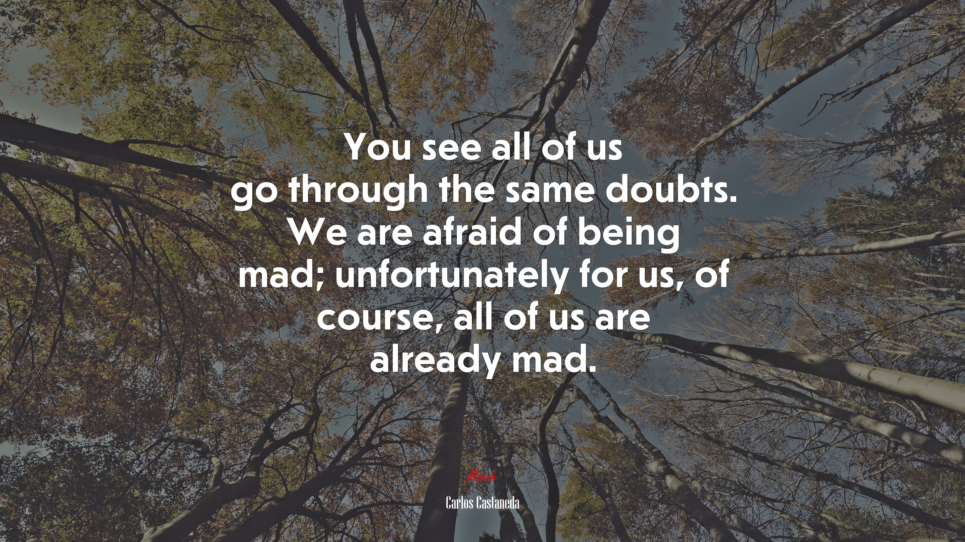 You see all of us go through the same doubts. We are afraid of being mad; unfortunately for us, of course, all of us are already mad. | Carlos Castaneda quote HD Wallpaper