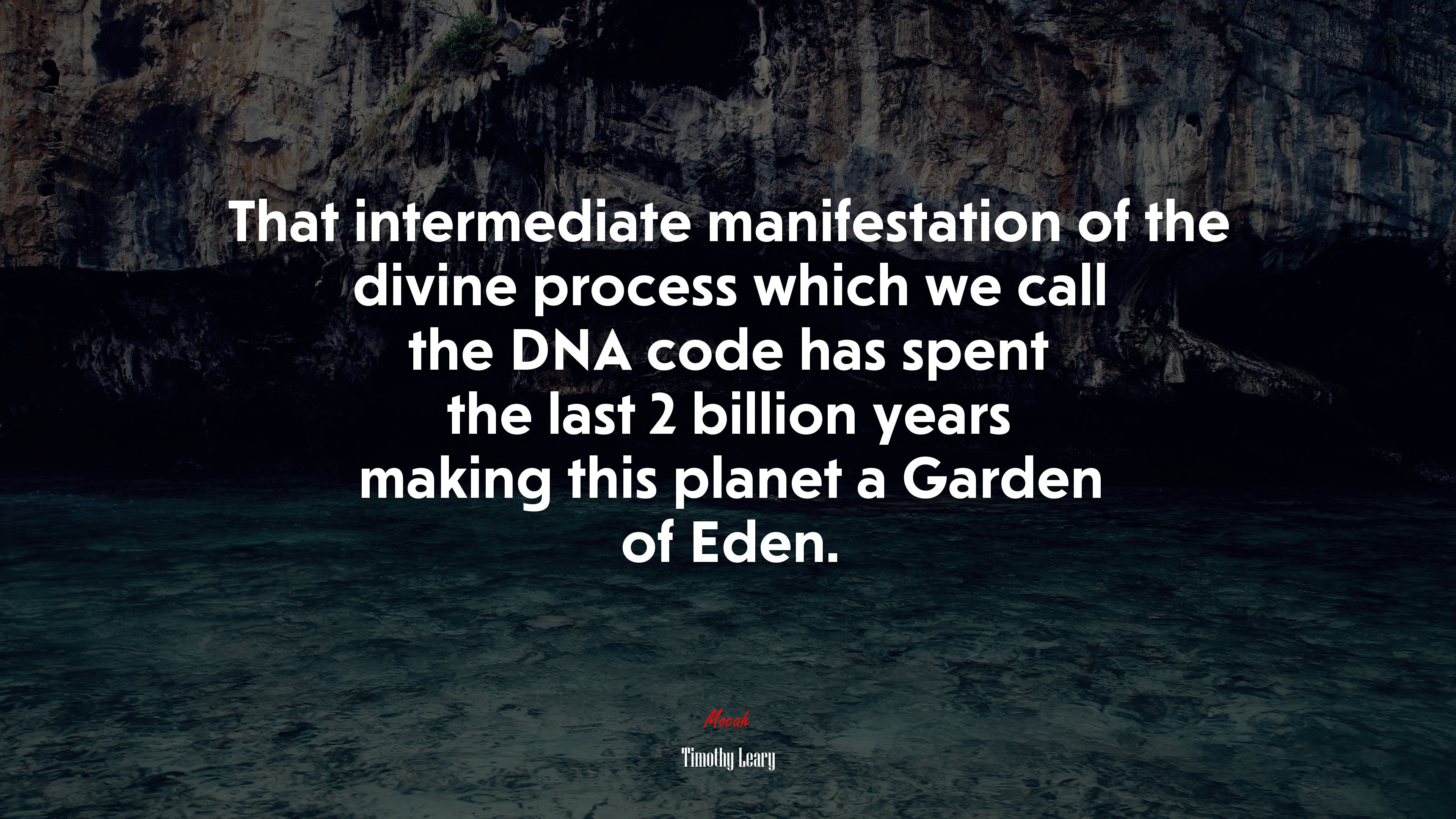 That intermediate manifestation of the divine process which we call the DNA code has spent the last 2 billion years making this planet a Garden of Eden. | Timothy Leary quote HD Wallpaper