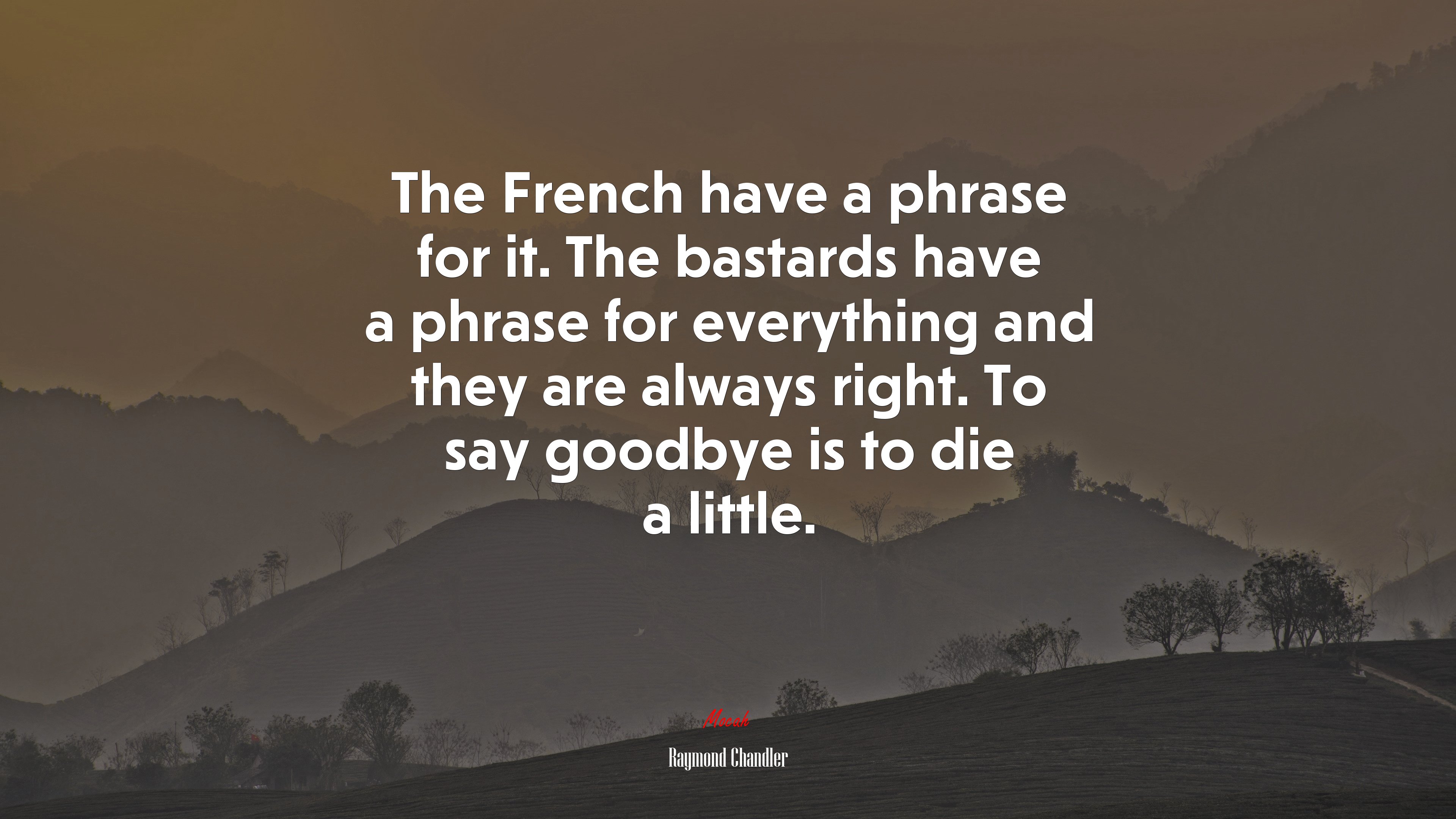 The French have a phrase for it. The bastards have a phrase for everything and they are always right. To say goodbye is to die a little. | Raymond Chandler quote HD Wallpaper