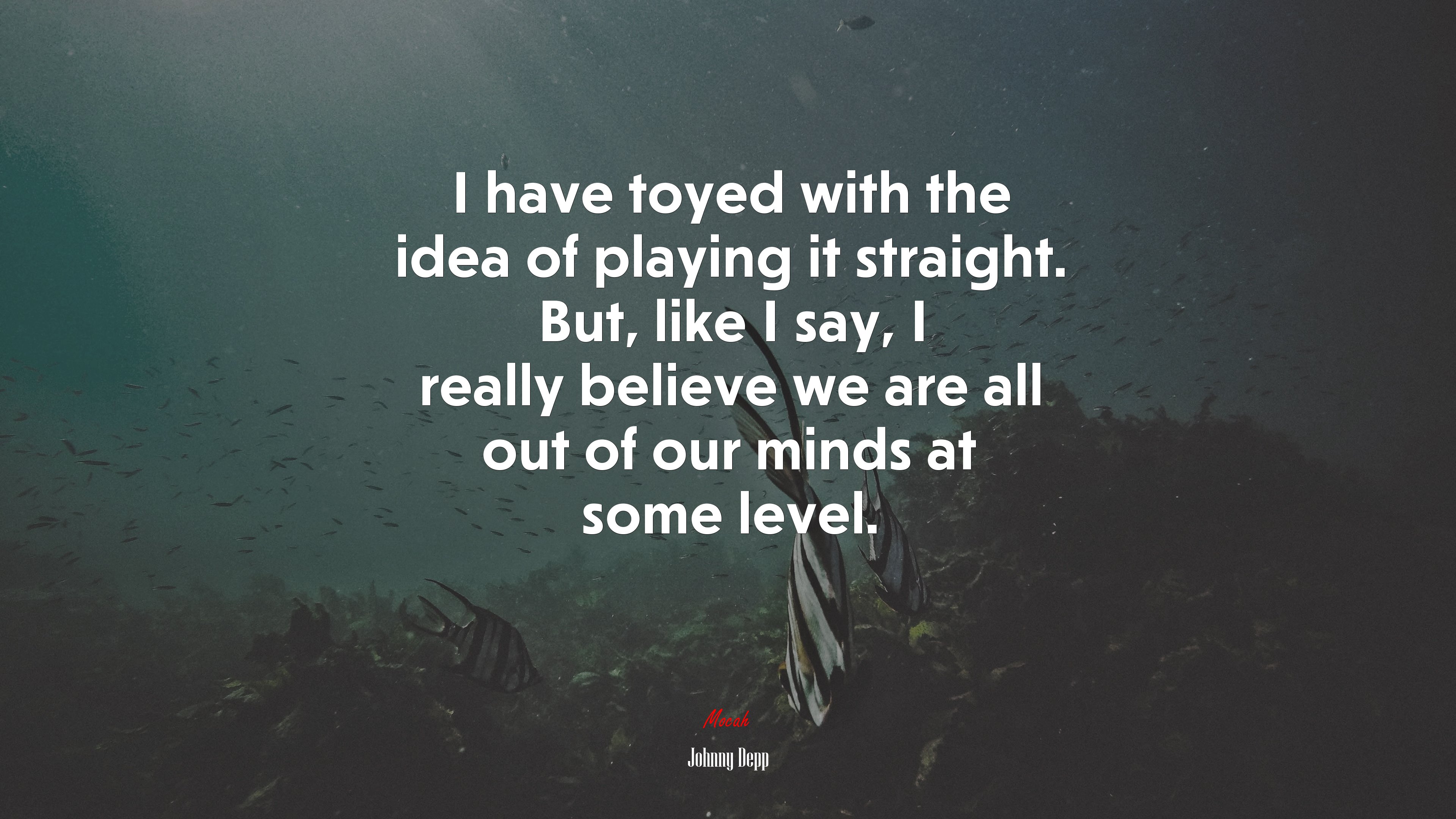 I have toyed with the idea of playing it straight. But, like I say, I really believe we are all out of our minds at some level. | Johnny Depp quote HD Wallpaper