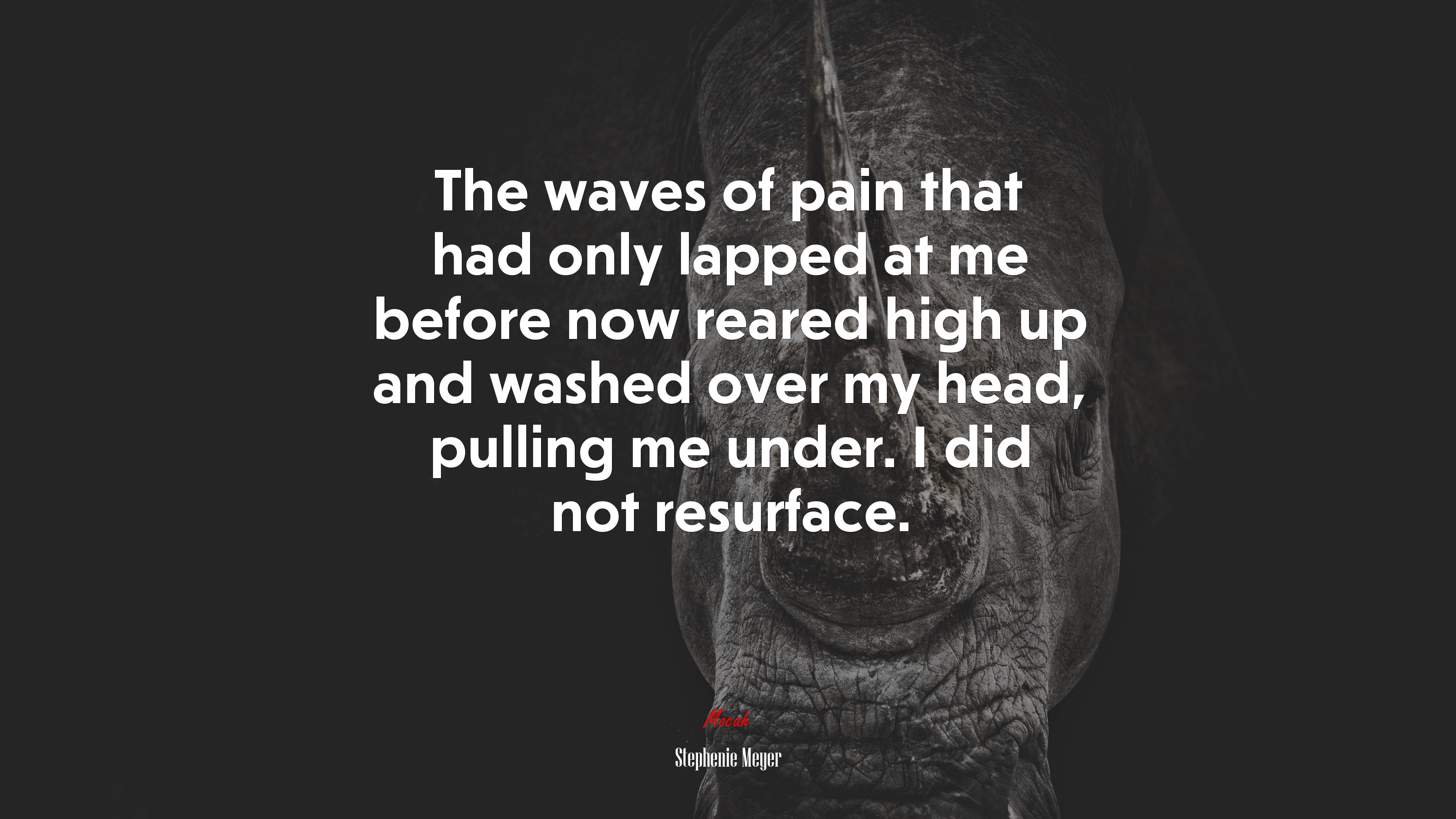 The waves of pain that had only lapped at me before now reared high up and washed over my head, pulling me under. I did not resurface. | Stephenie Meyer quote HD Wallpaper