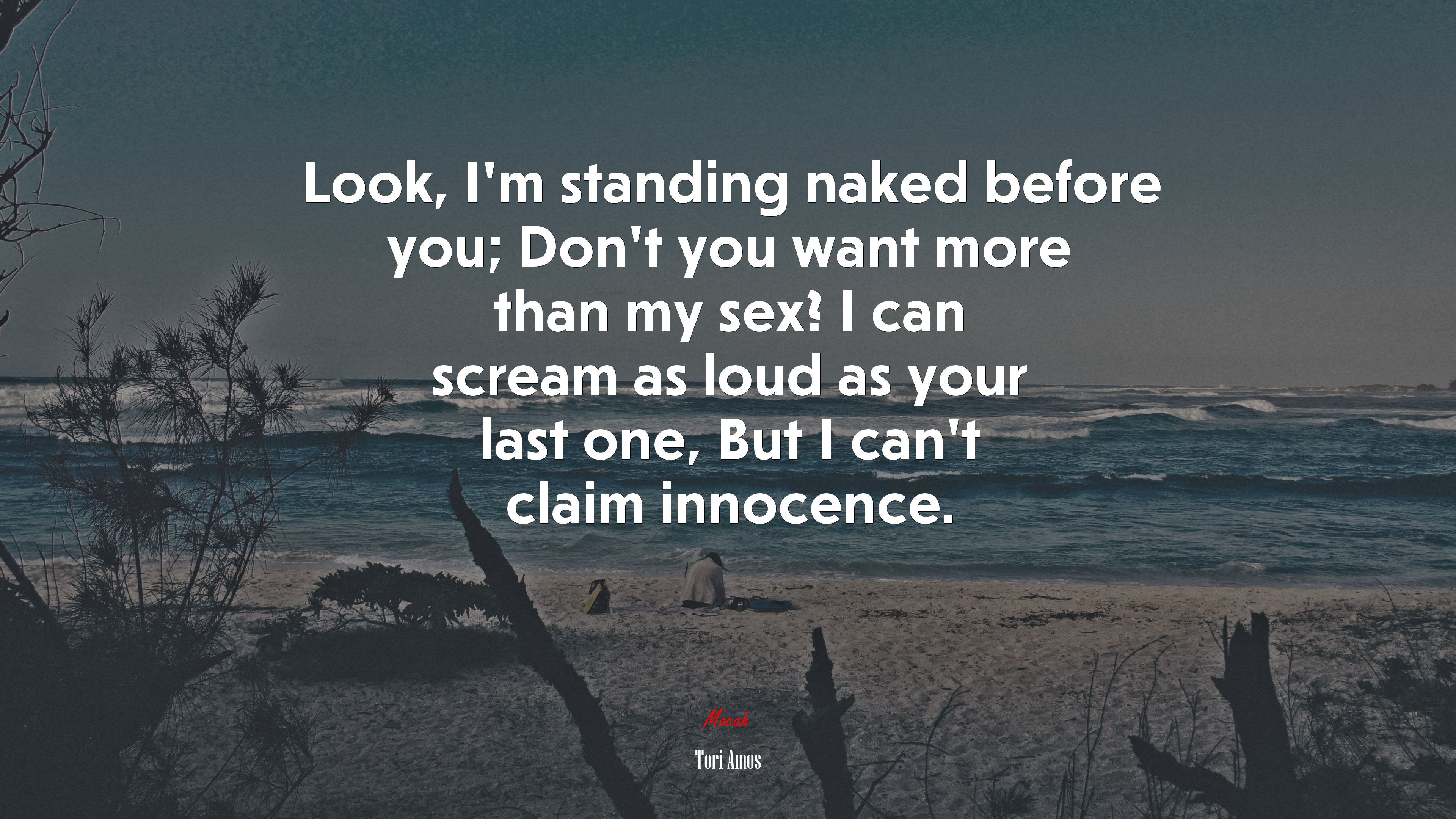 Look, I’m standing naked before you; Don’t you want more than my sex? I can scream as loud as your last one, But I can’t claim innocence. | Tori Amos quote HD Wallpaper