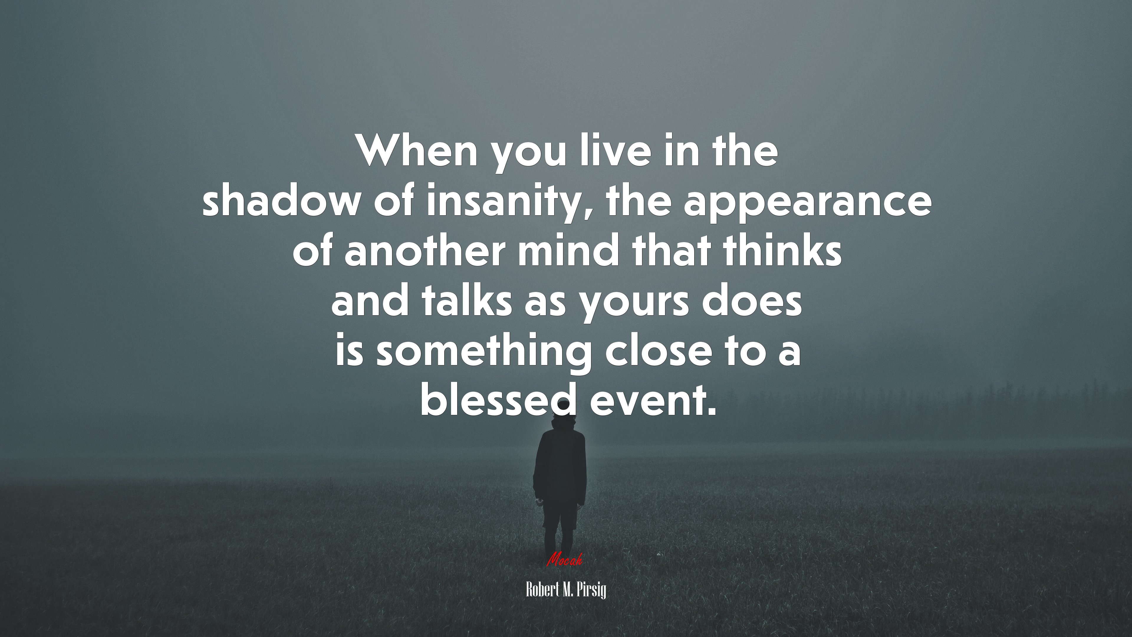 When you live in the shadow of insanity, the appearance of another mind that thinks and talks as yours does is something close to a blessed event. | Robert M. Pirsig quote HD Wallpaper