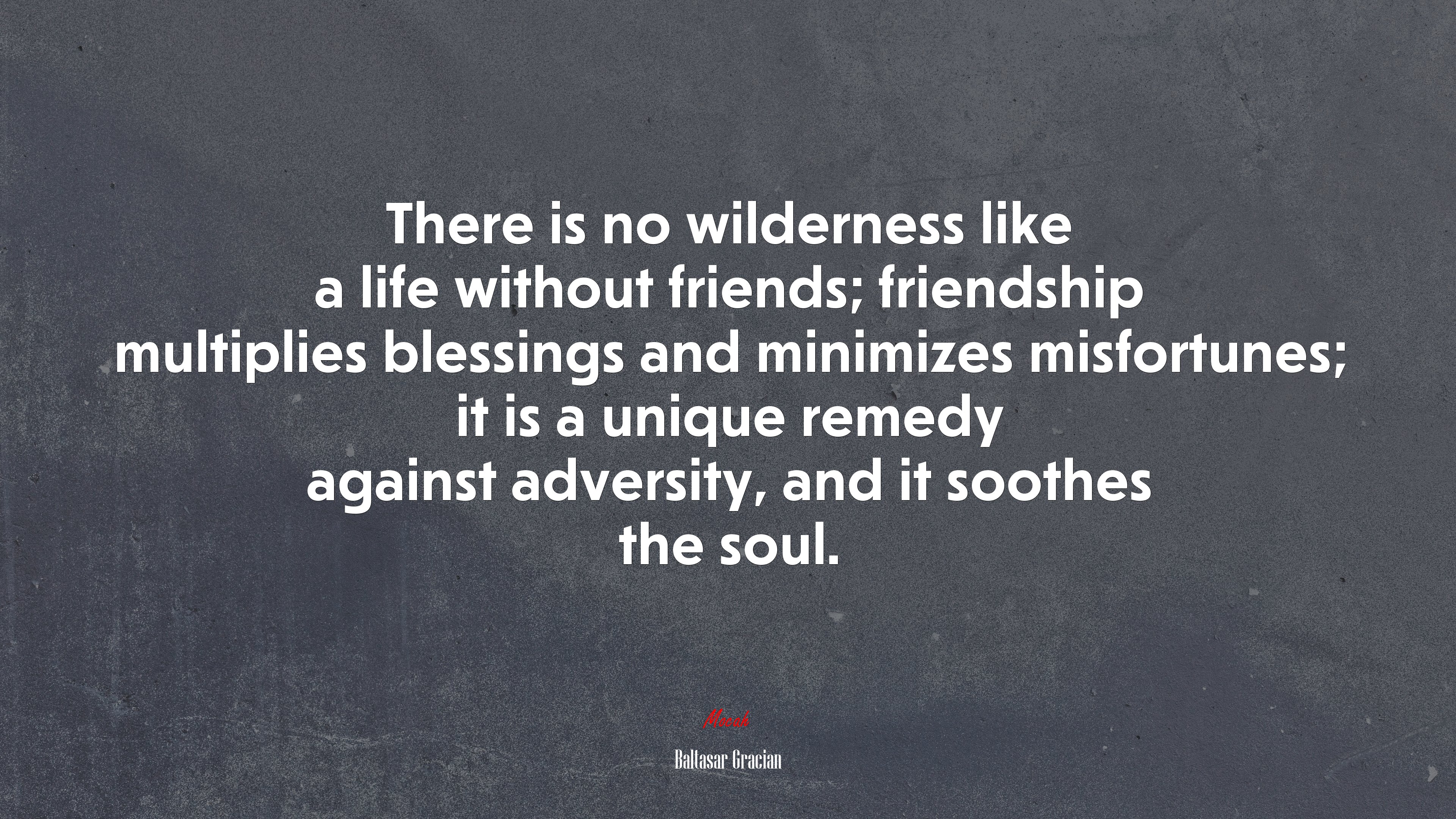 There is no wilderness like a life without friends; friendship multiplies blessings and minimizes misfortunes; it is a unique remedy against adversity, and it soothes the soul. | Baltasar Gracián quote HD Wallpaper