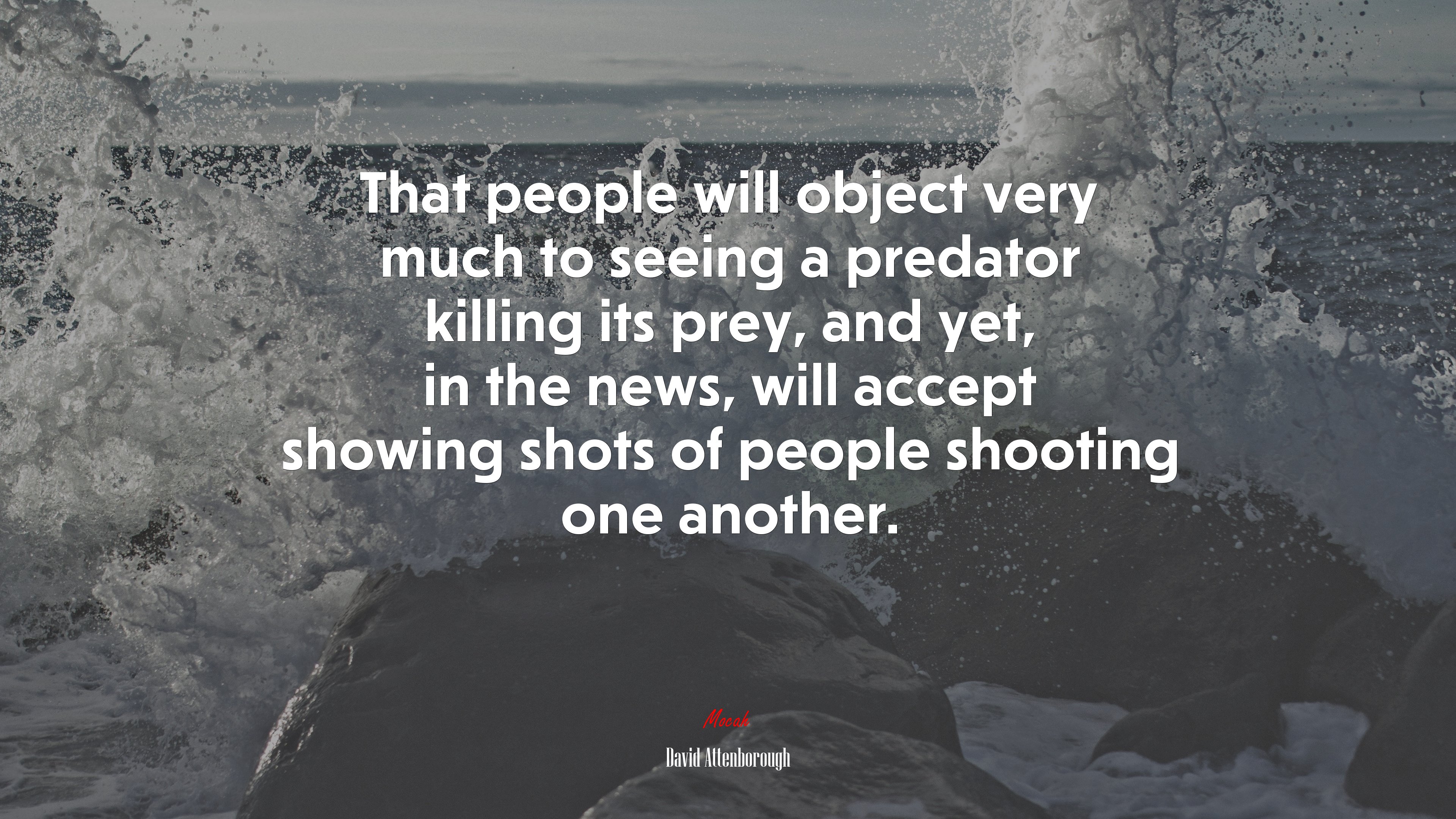 That people will object very much to seeing a predator killing its prey, and yet, in the news, will accept showing shots of people shooting one another. | David Attenborough quote HD Wallpaper
