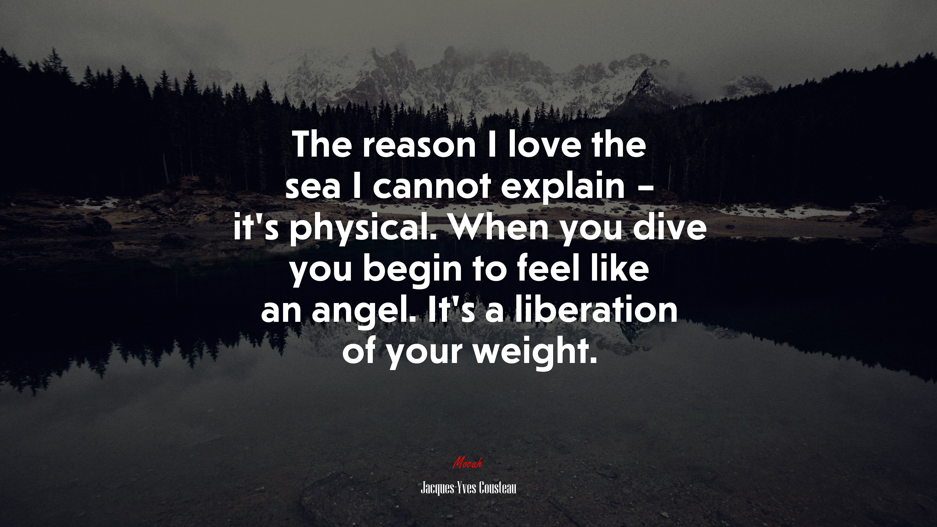 The reason I love the sea I cannot explain – it’s physical. When you dive you begin to feel like an angel. It’s a liberation of your weight. | Jacques-Yves Cousteau quote HD Wallpaper