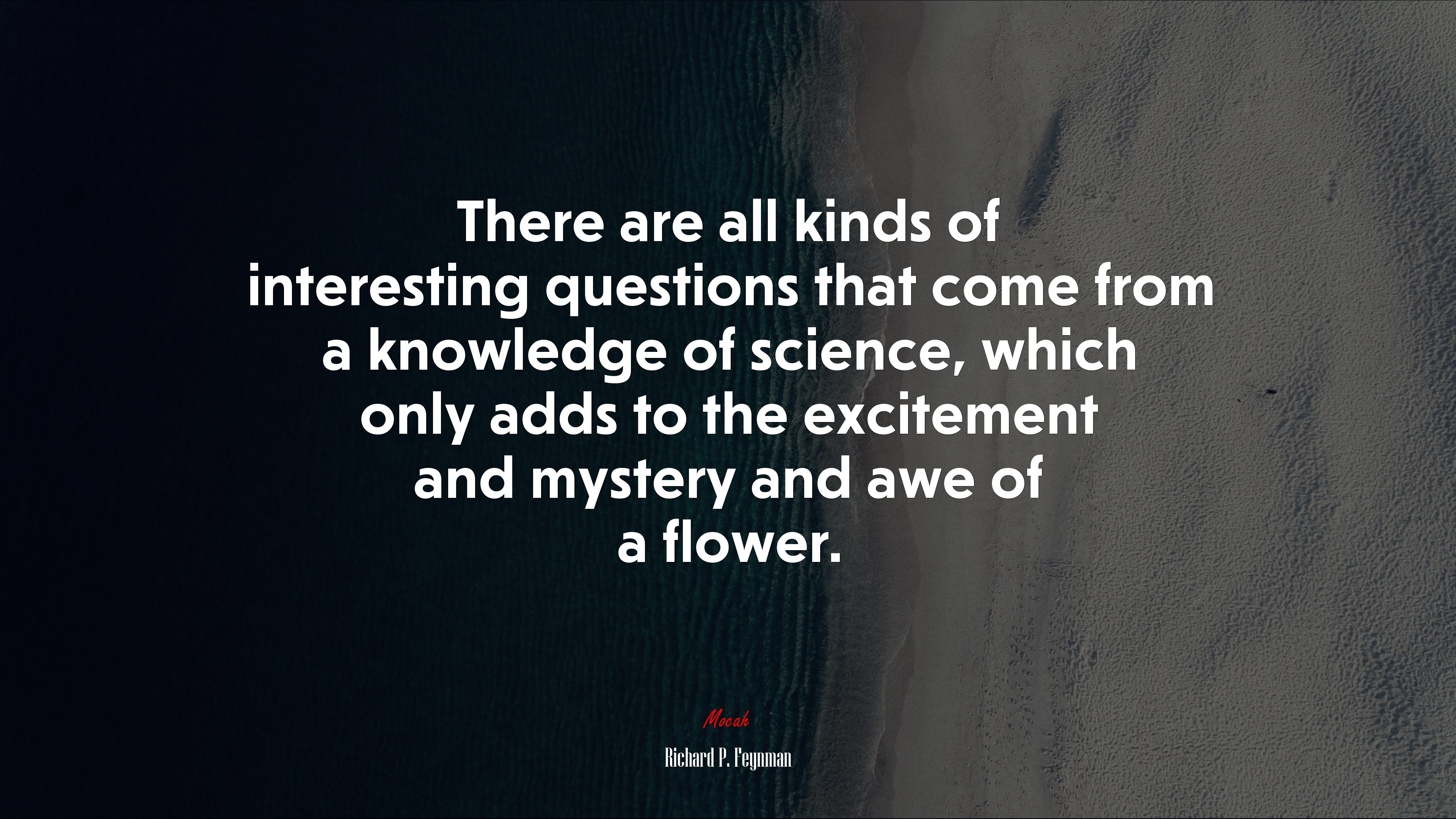 There are all kinds of interesting questions that come from a knowledge of science, which only adds to the excitement and mystery and awe of a flower. | Richard P. Feynman quote HD Wallpaper