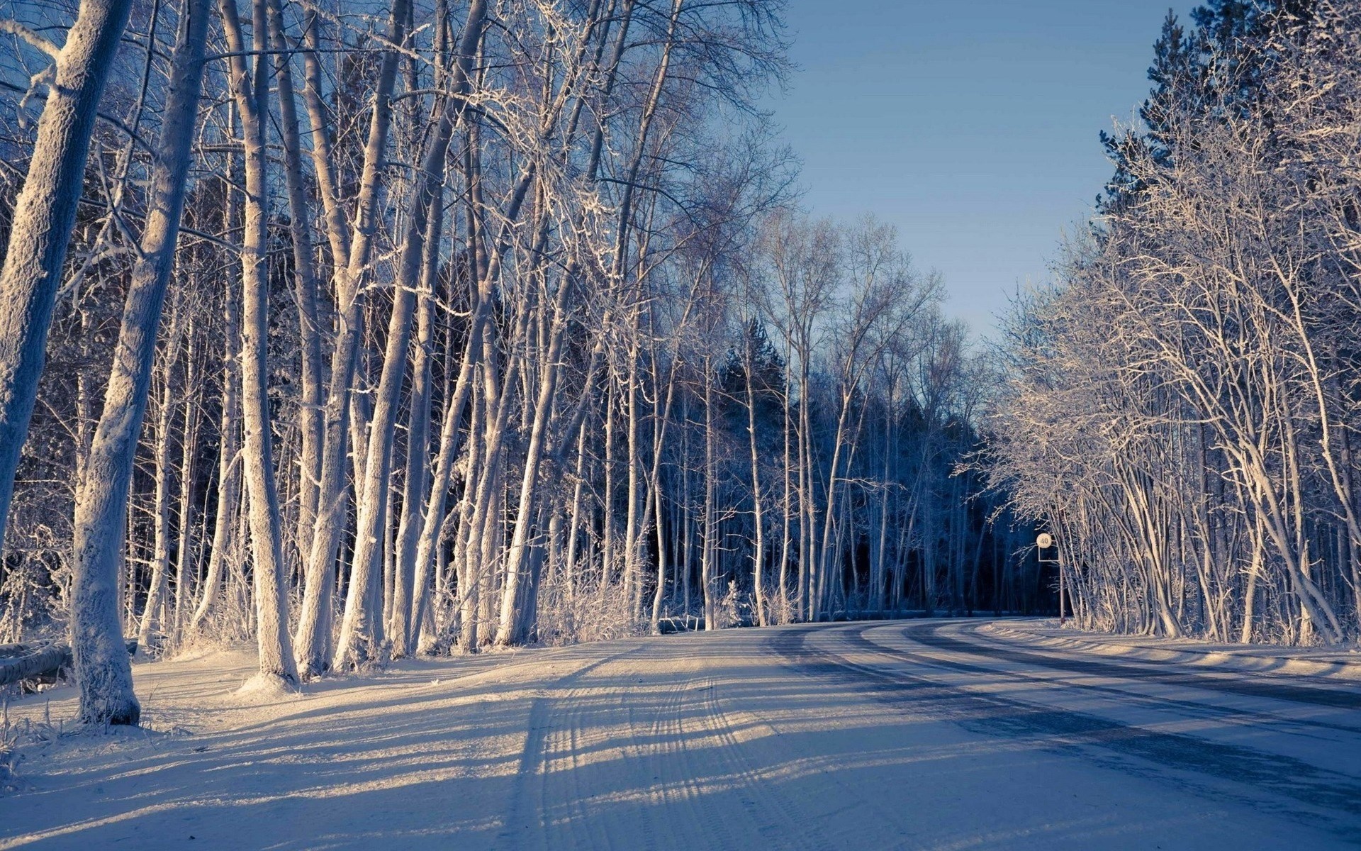 Snow-covered trees line a winding road in winter HD Wallpaper