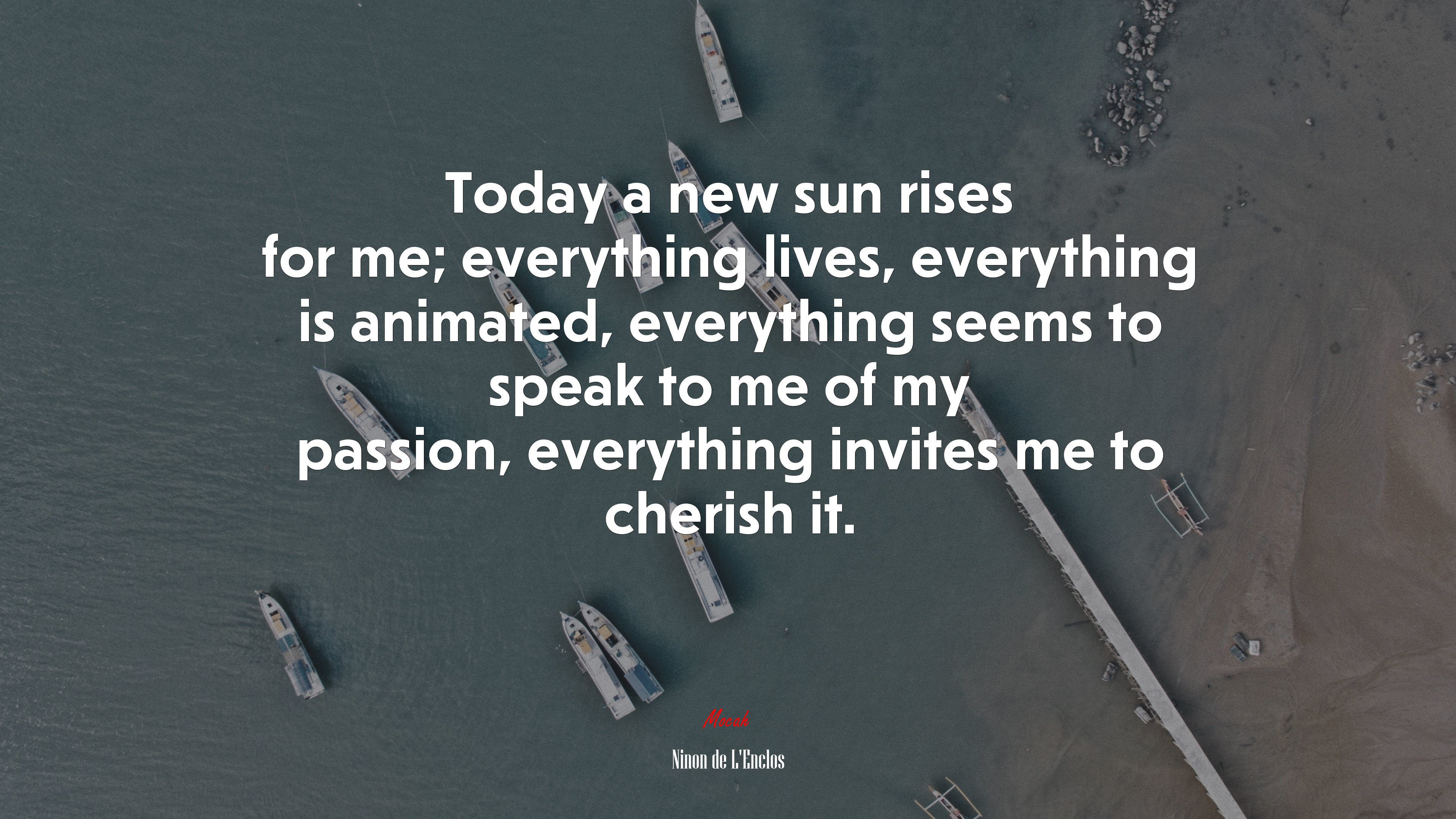 Today a new sun rises for me; everything lives, everything is animated, everything seems to speak to me of my passion, everything invites me to cherish it. | Ninon de LEnclos quote HD Wallpaper
