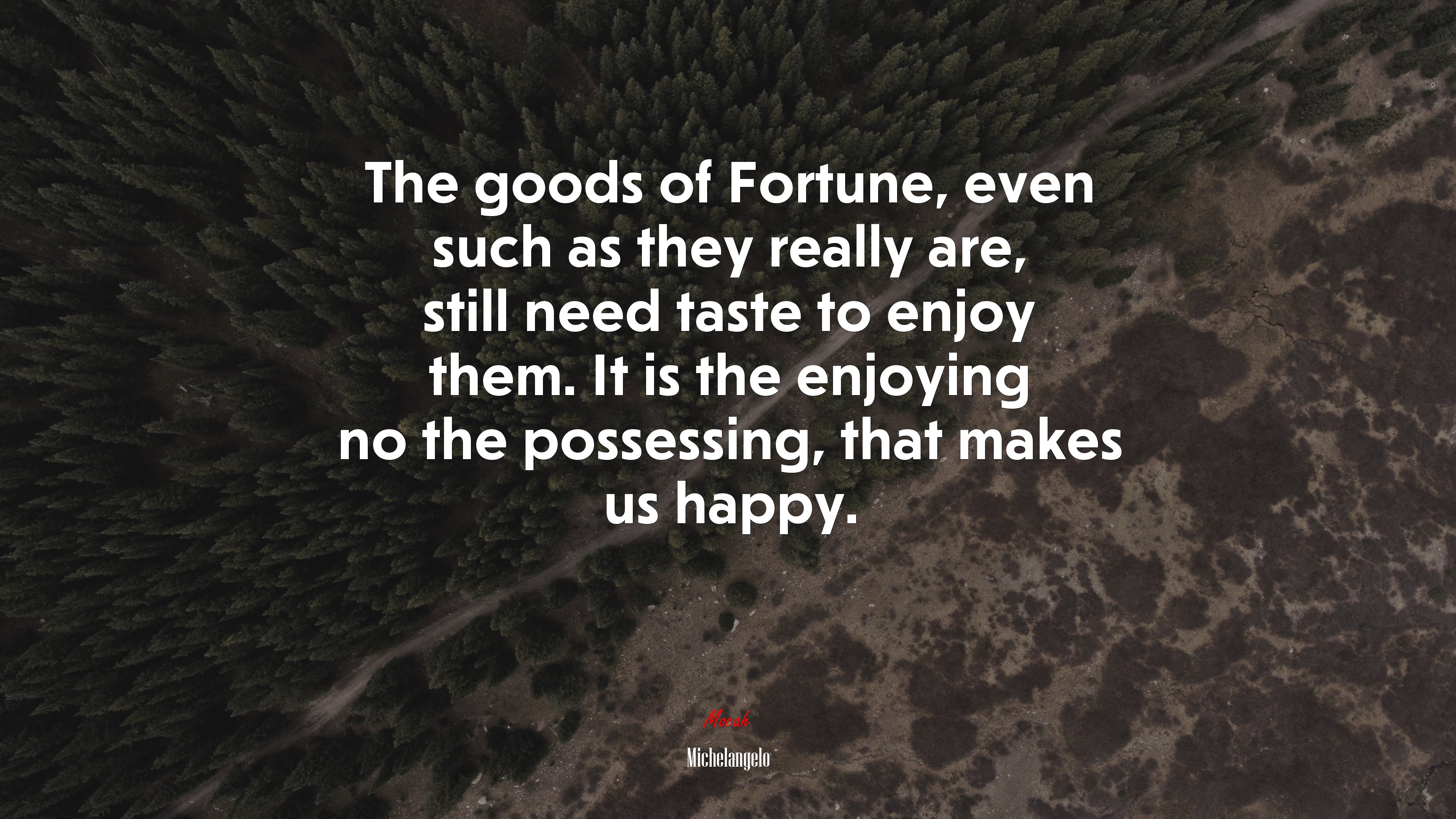 The goods of Fortune, even such as they really are, still need taste to enjoy them. It is the enjoying no the possessing, that makes us happy. | Michelangelo quote HD Wallpaper