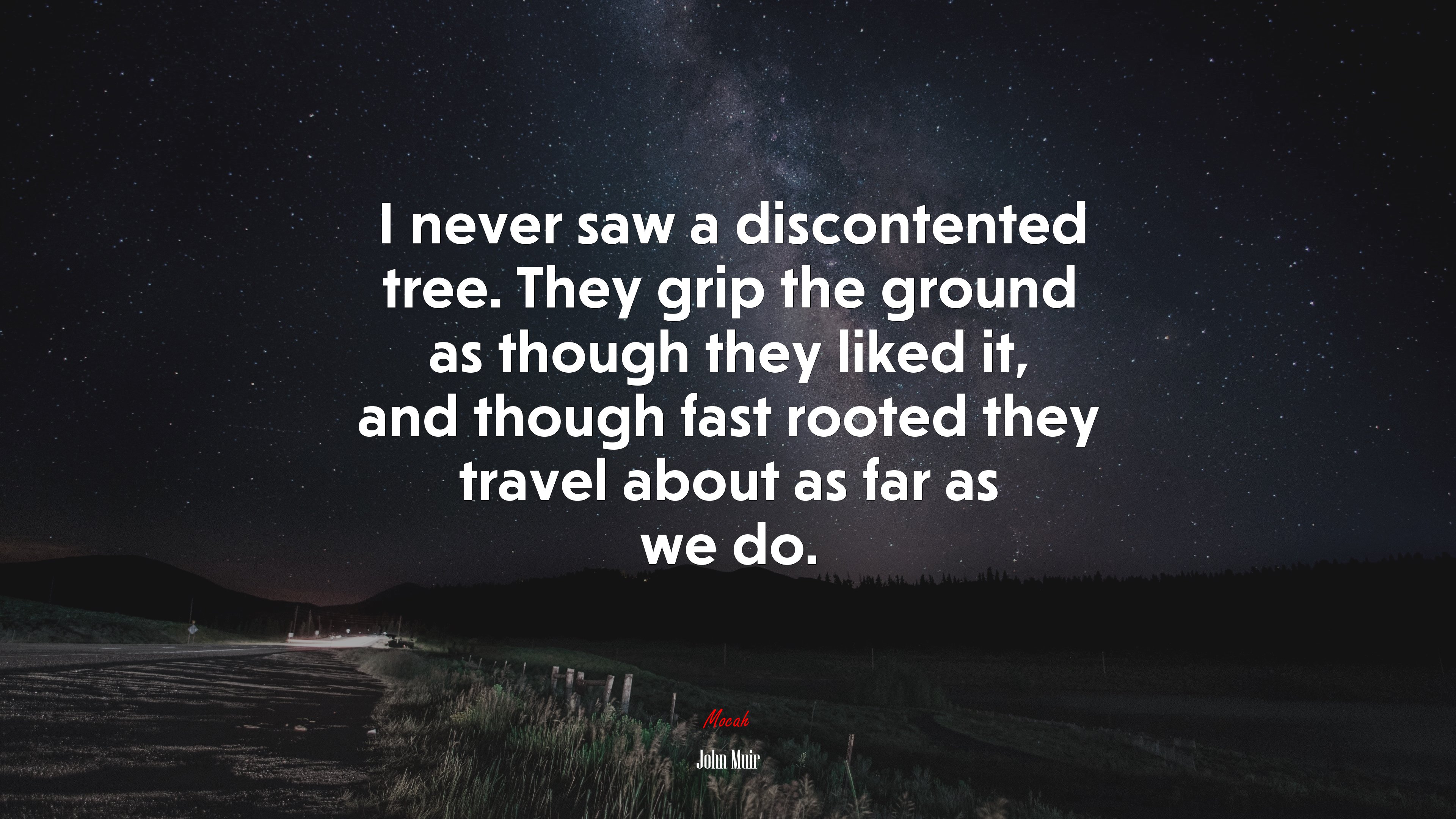 I never saw a discontented tree. They grip the ground as though they liked it, and though fast rooted they travel about as far as we do. | John Muir quote HD Wallpaper