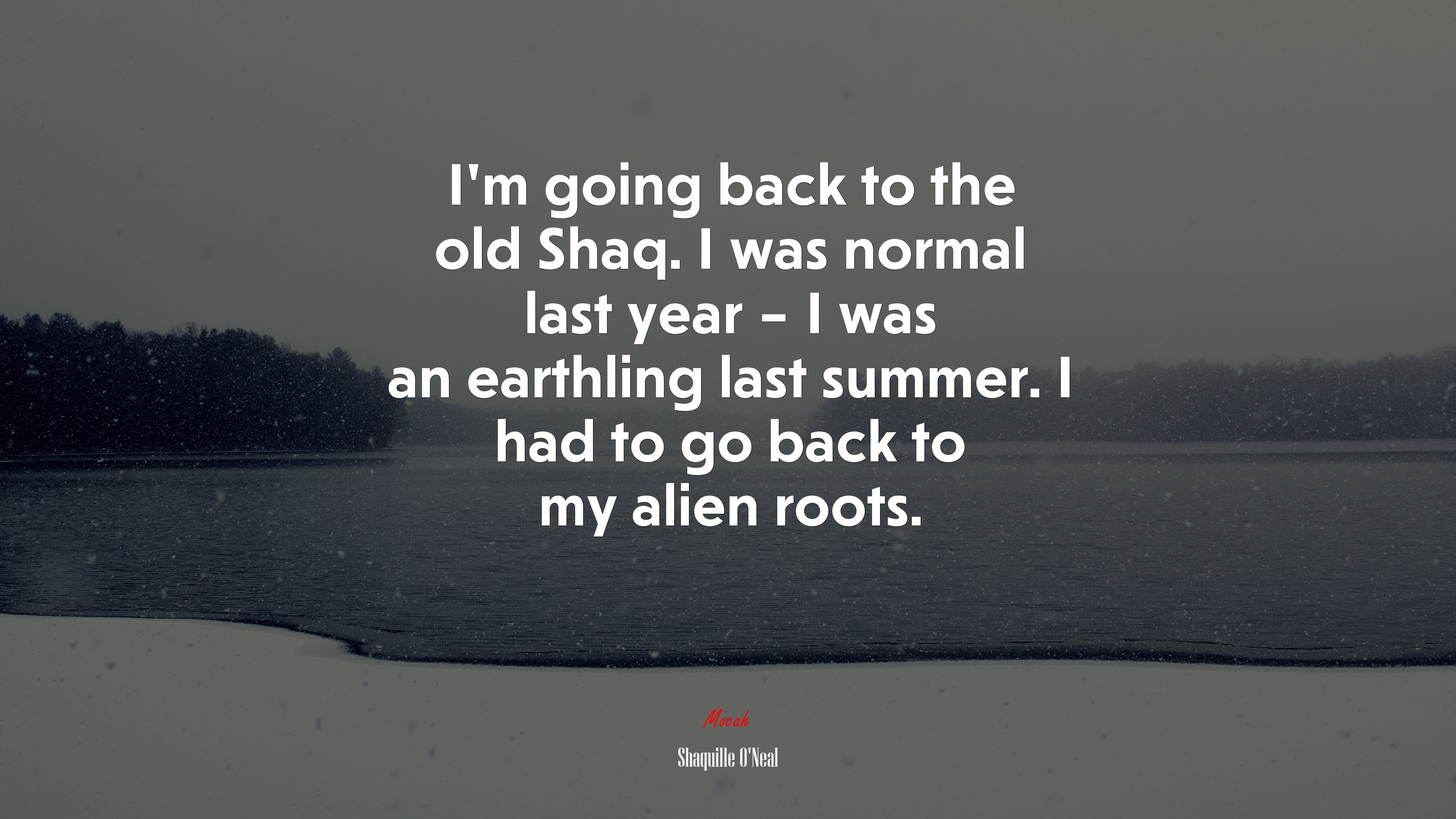 I’m going back to the old Shaq. I was normal last year – I was an earthling last summer. I had to go back to my alien roots. | Shaquille ONeal quote HD Wallpaper