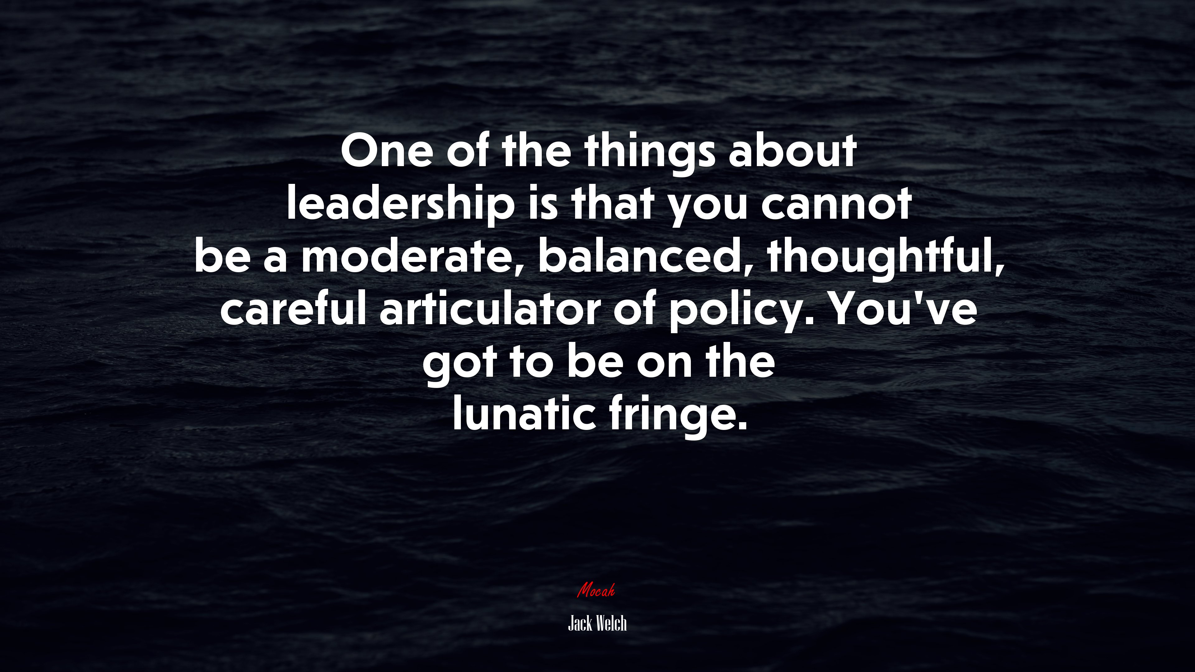 One of the things about leadership is that you cannot be a moderate, balanced, thoughtful, careful articulator of policy. You’ve got to be on the lunatic fringe. | Jack Welch quote HD Wallpaper