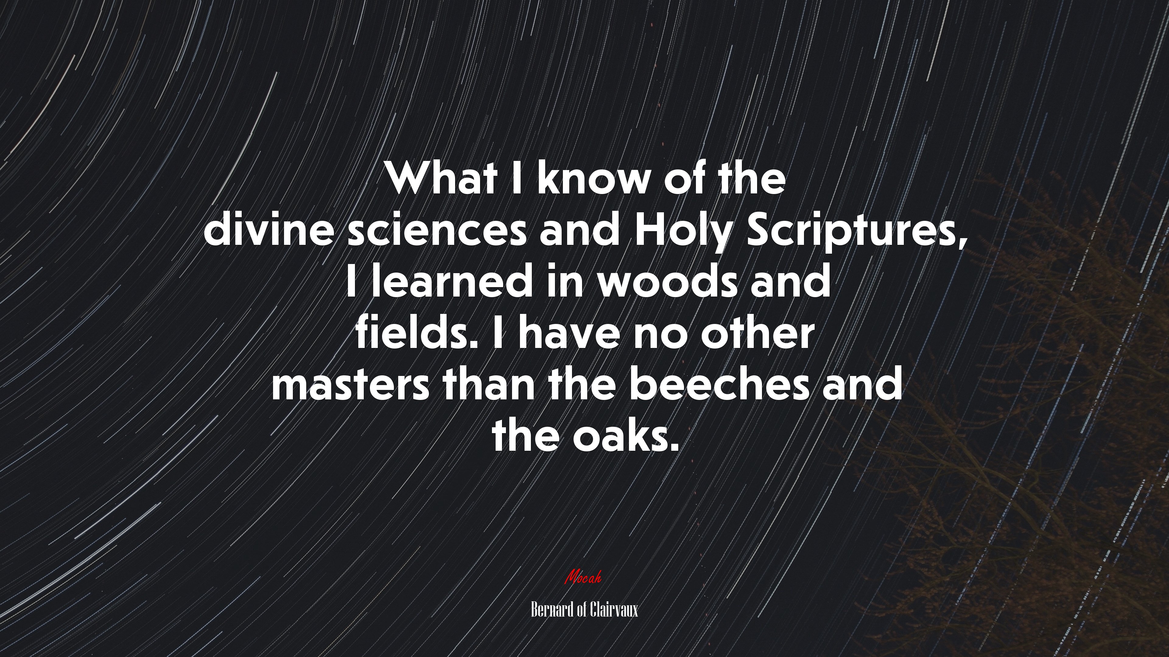 What I know of the divine sciences and Holy Scriptures, I learned in woods and fields. I have no other masters than the beeches and the oaks. | Bernard of Clairvaux quote HD Wallpaper