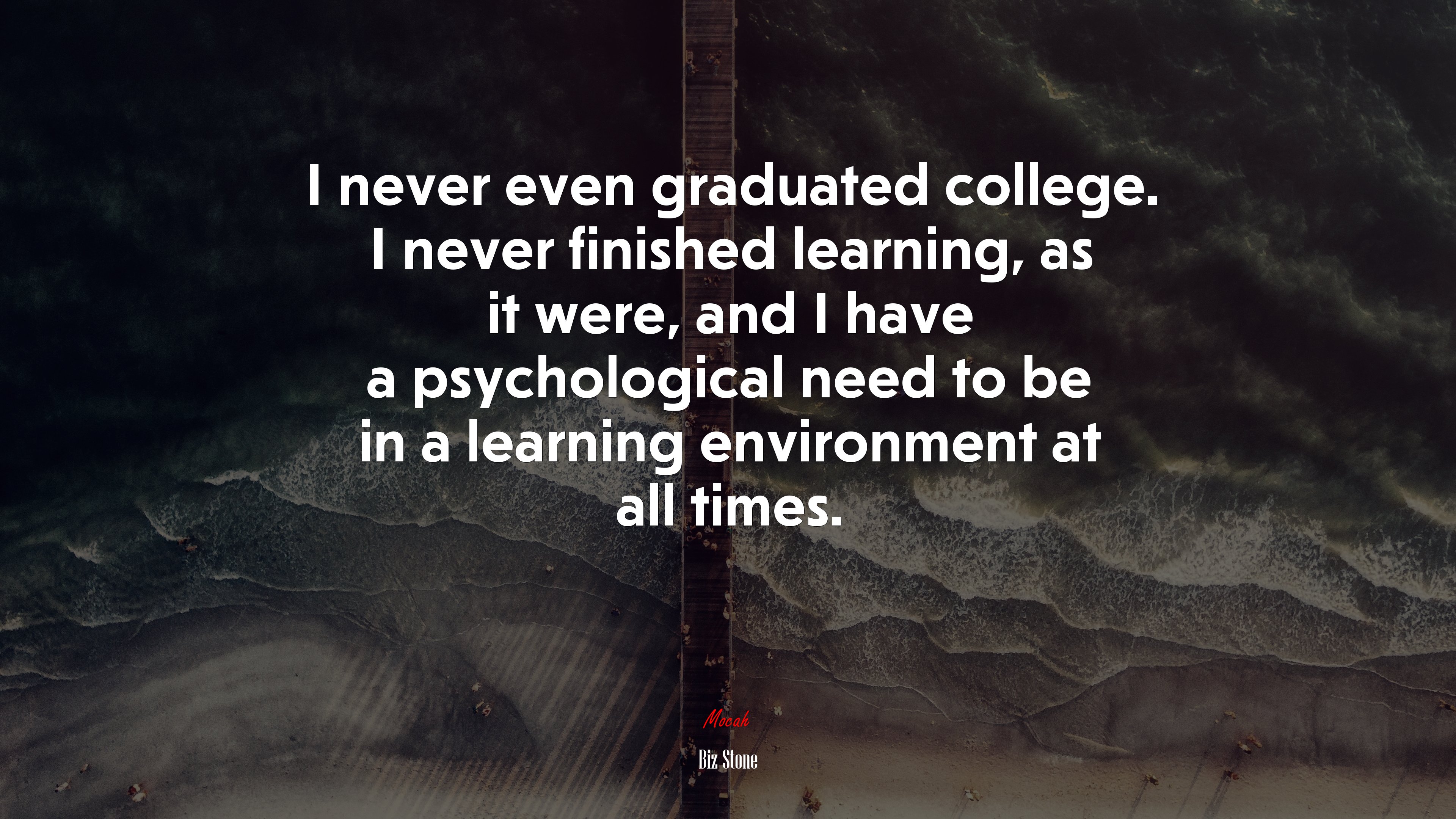 I never even graduated college. I never finished learning, as it were, and I have a psychological need to be in a learning environment at all times. | Biz Stone quote HD Wallpaper