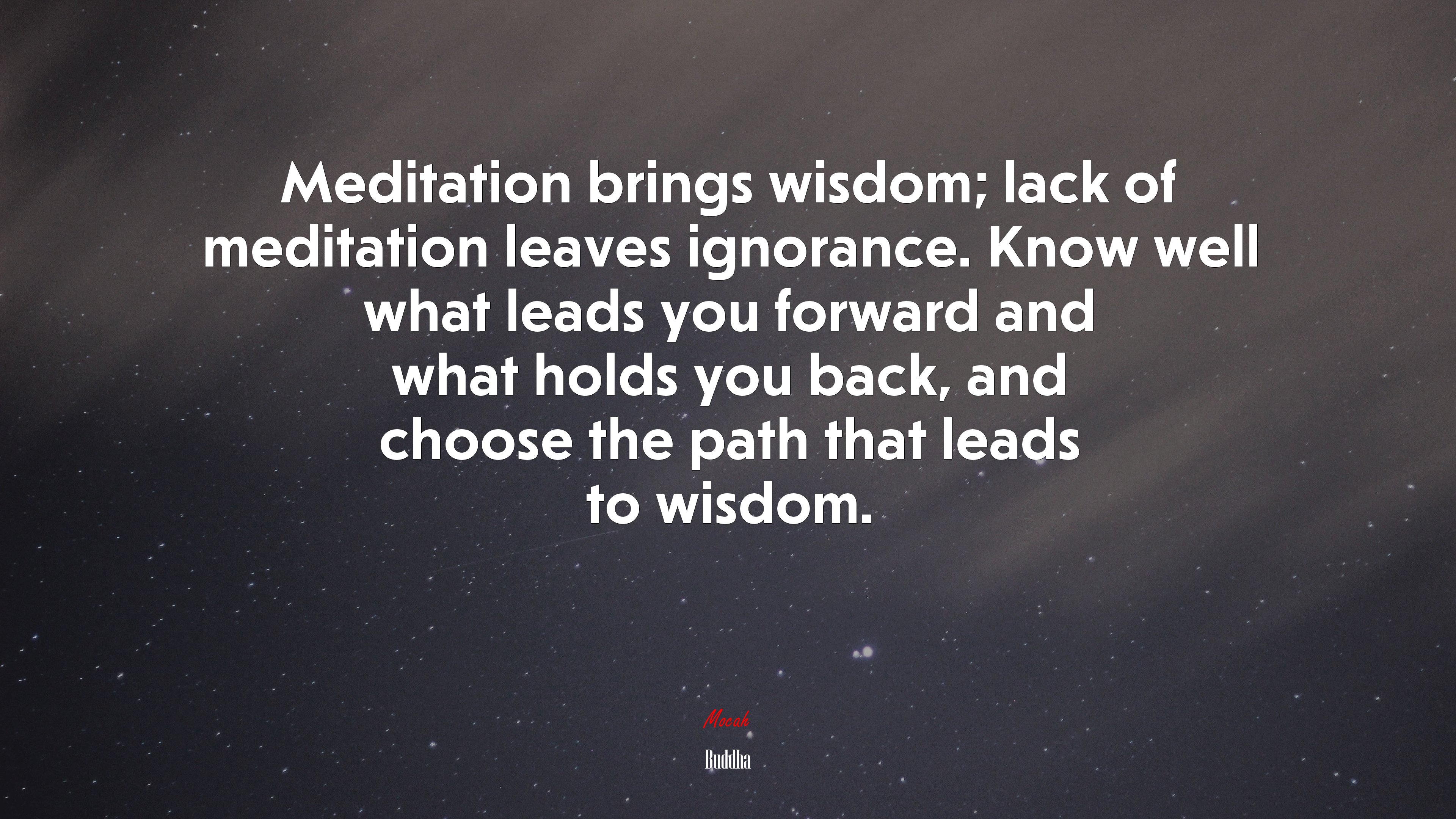 Meditation brings wisdom; lack of meditation leaves ignorance. Know well what leads you forward and what holds you back, and choose the path that leads to wisdom. | Buddha quote HD Wallpaper